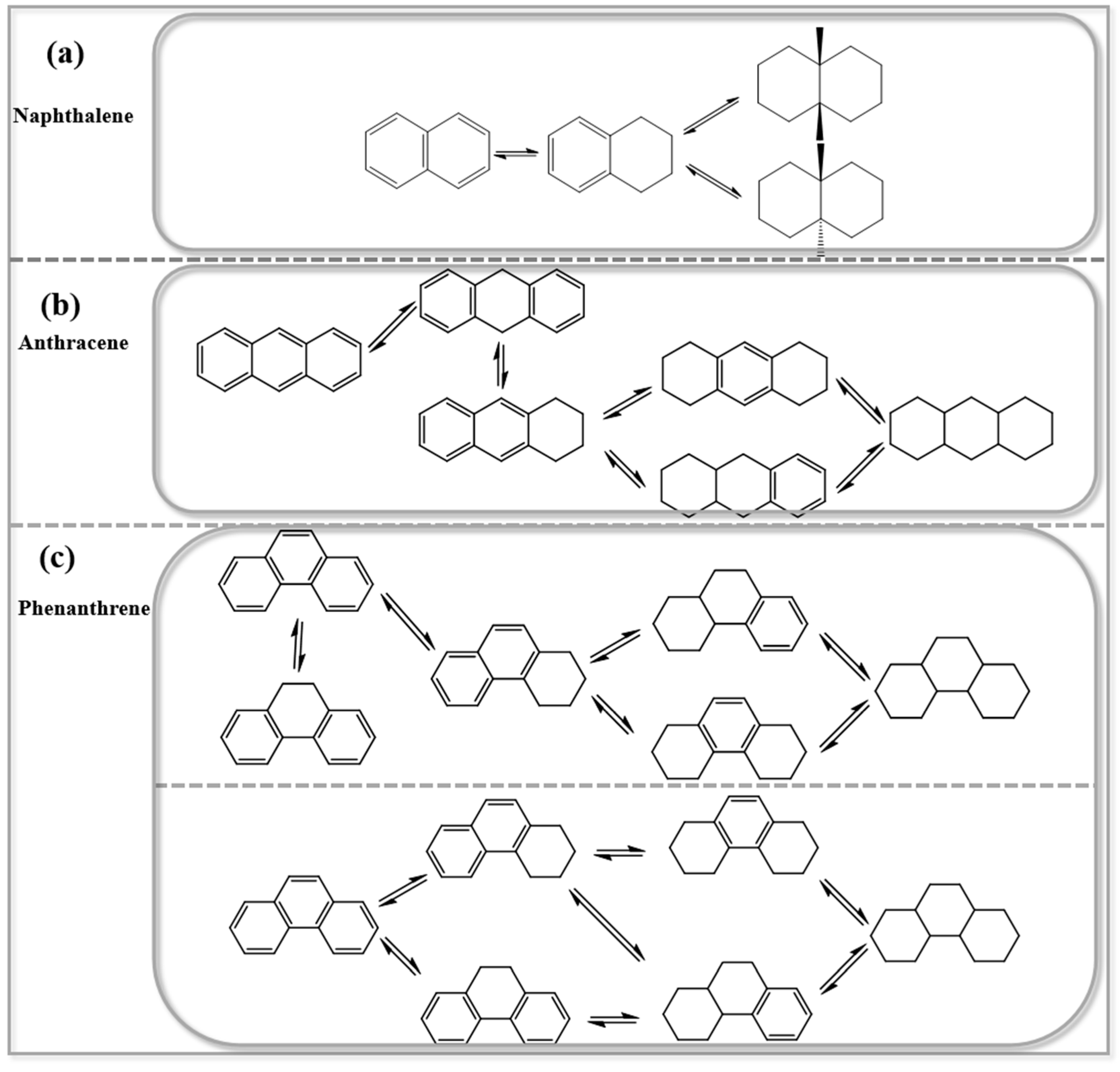 Catalysts 15 00397 g004 Catalysts 15 00397 g004