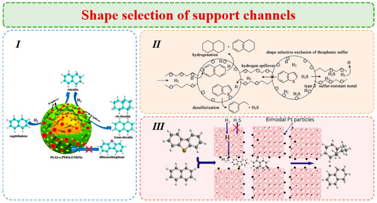 Catalysts 15 00397 g006