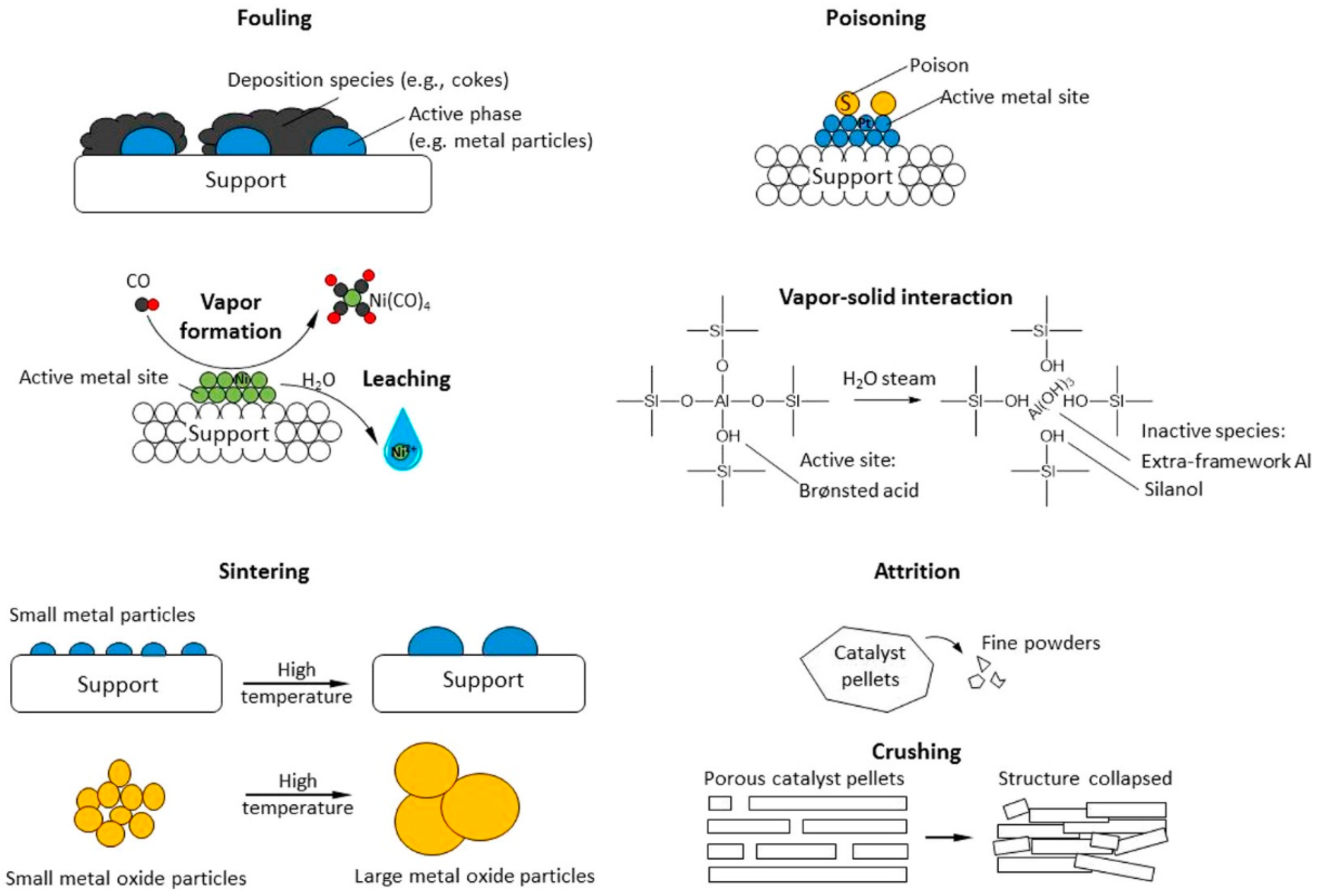 Catalysts 15 00401 g006