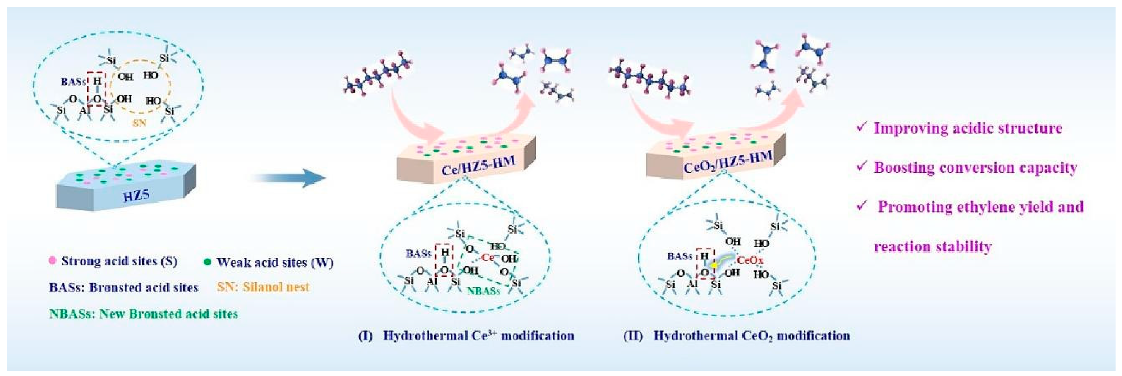 Catalysts 15 00401 g009