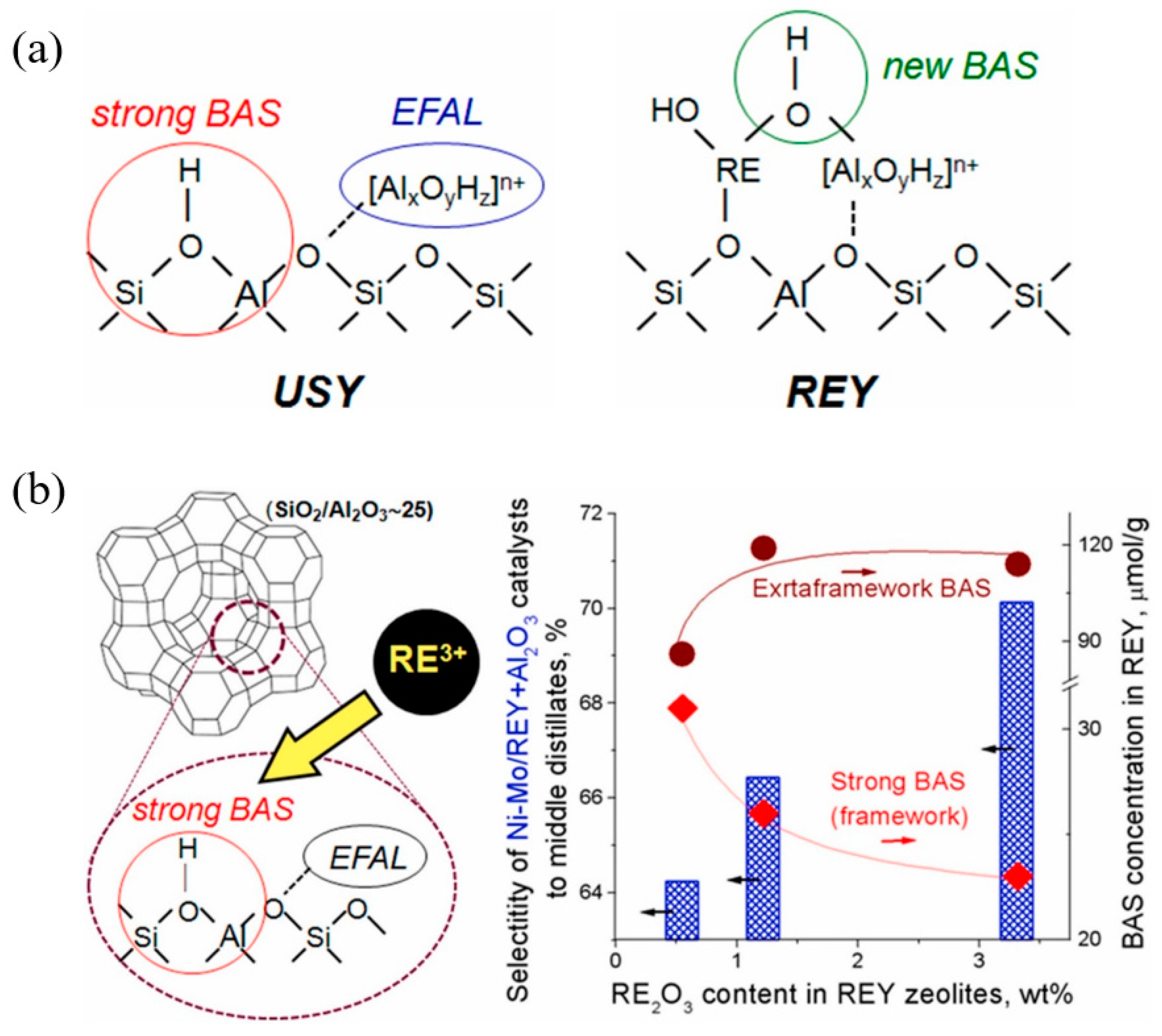 Catalysts 15 00401 g014