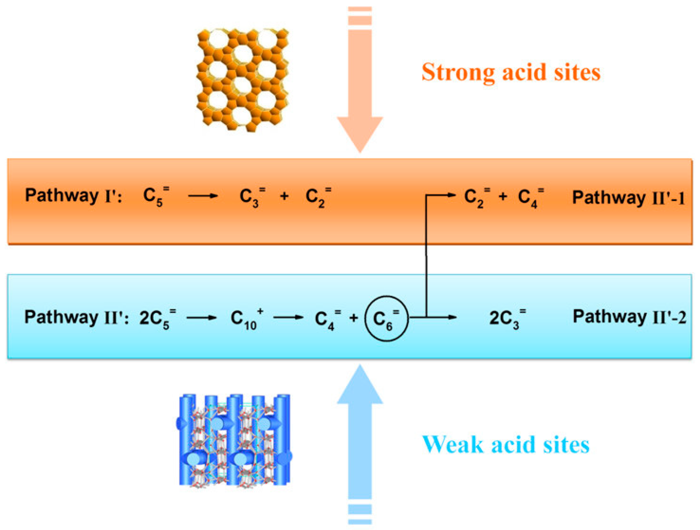 Catalysts 15 00401 g024