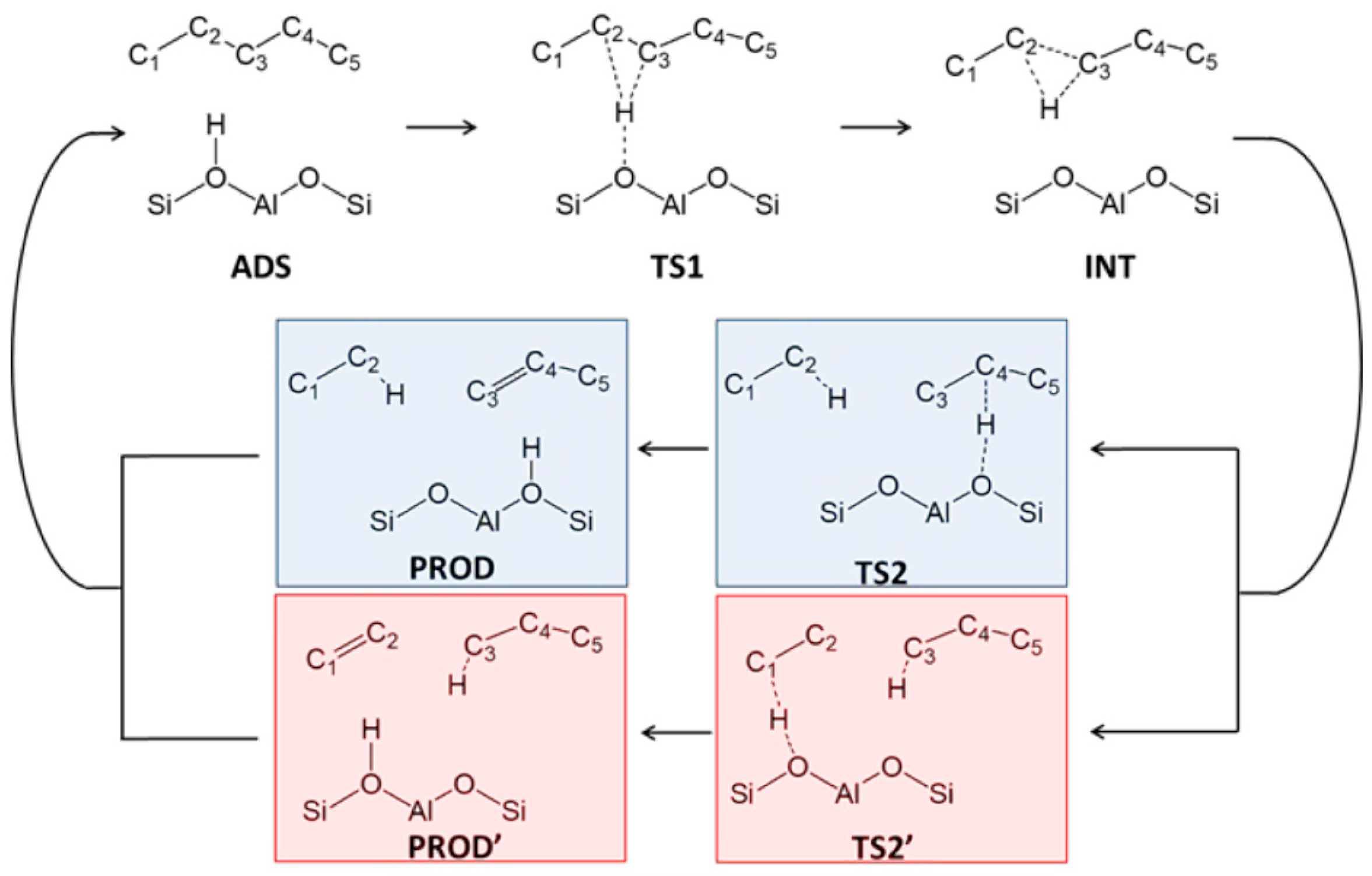 Catalysts 15 00401 g025