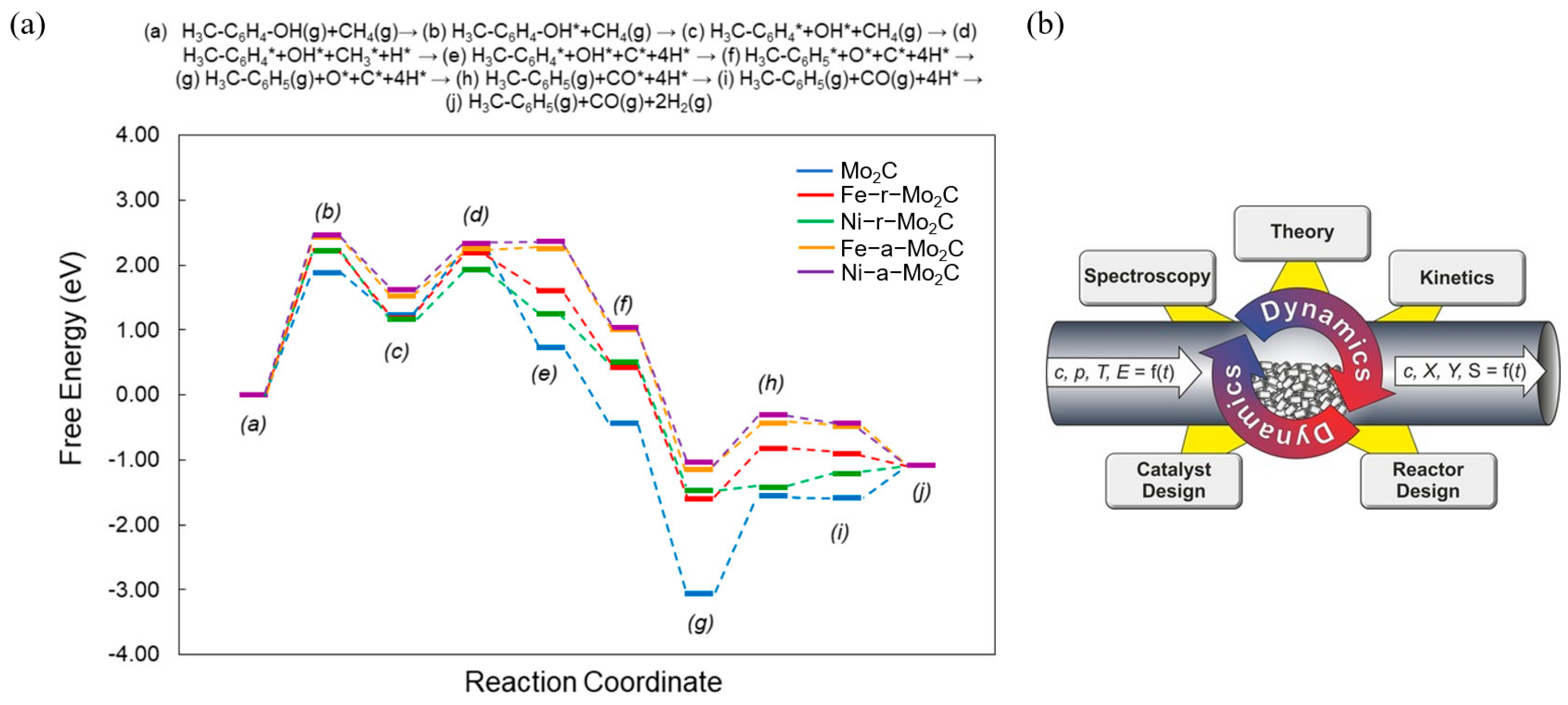 Catalysts 15 00401 g039