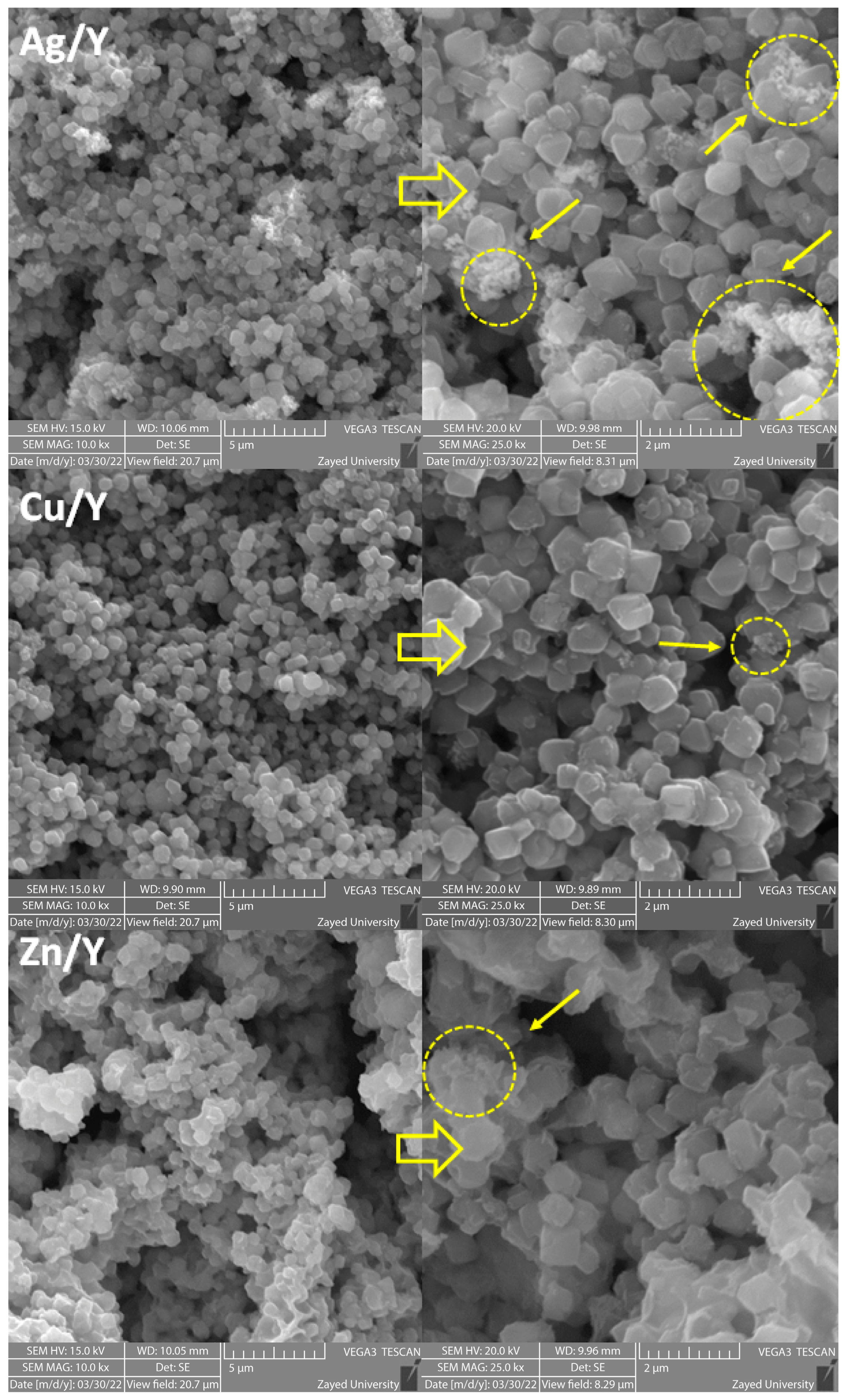 Catalysts 15 00407 g002 Catalysts 15 00407 g002