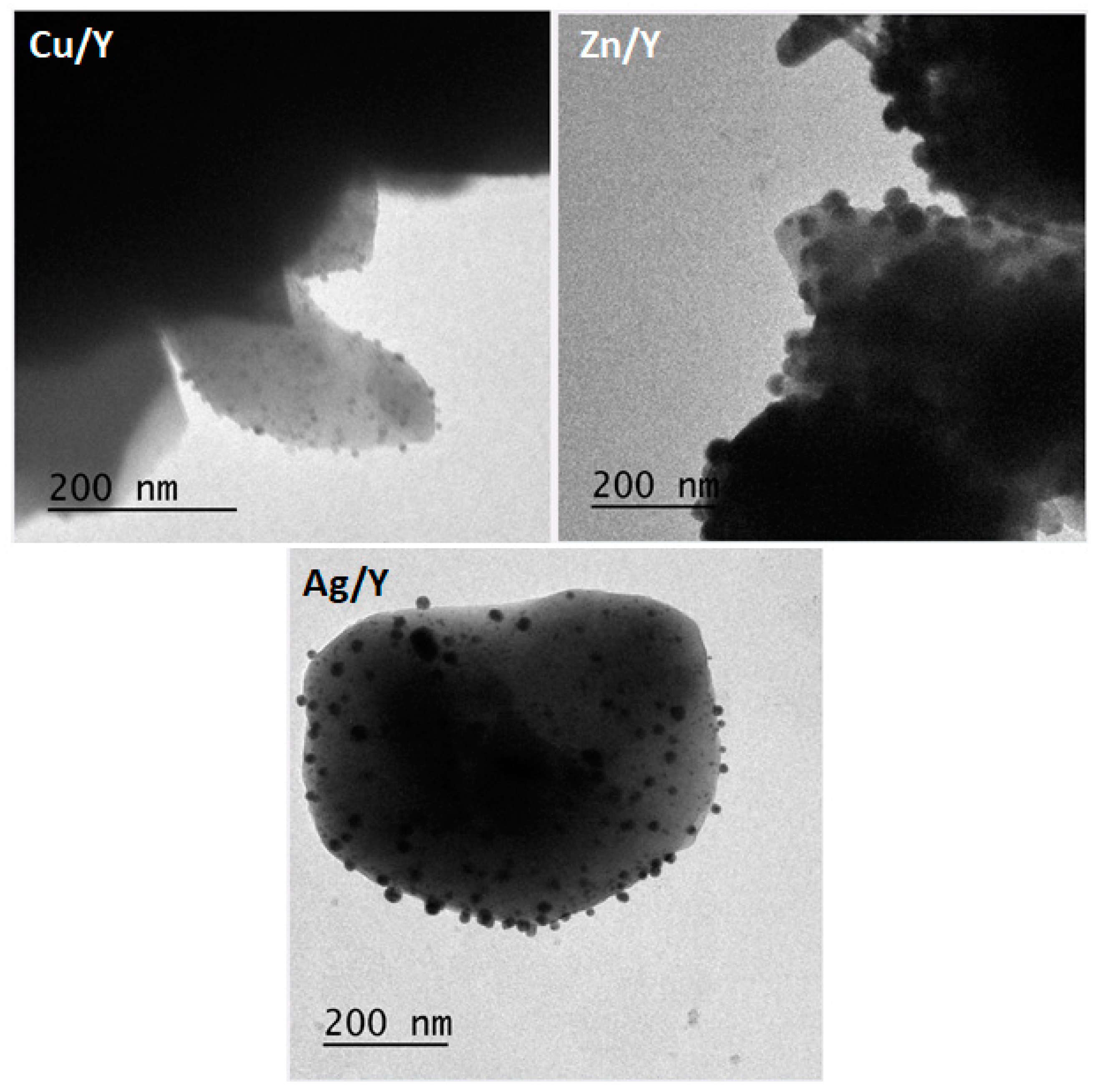 Catalysts 15 00407 g003 Catalysts 15 00407 g003
