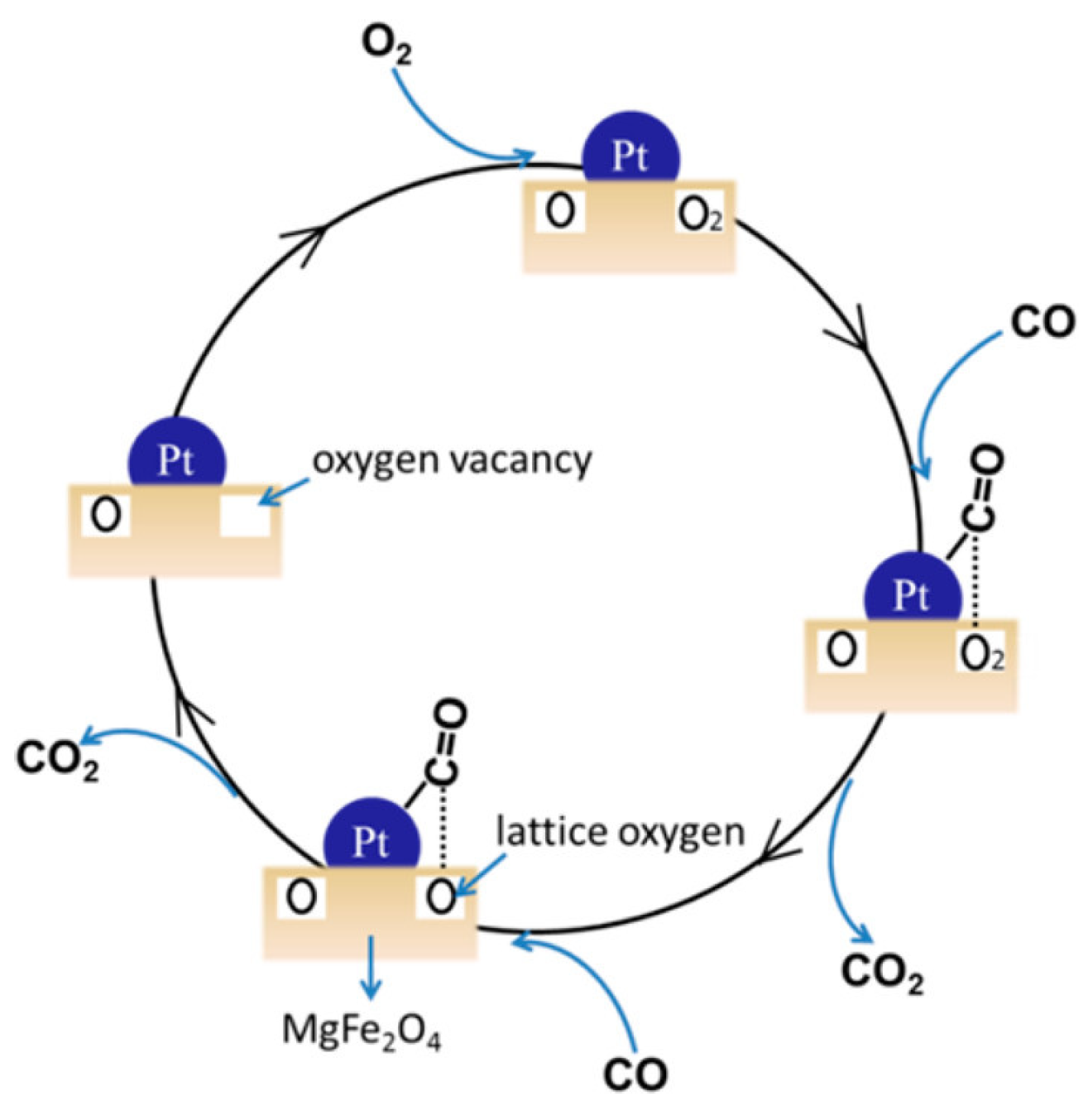 Catalysts 15 00415 g003