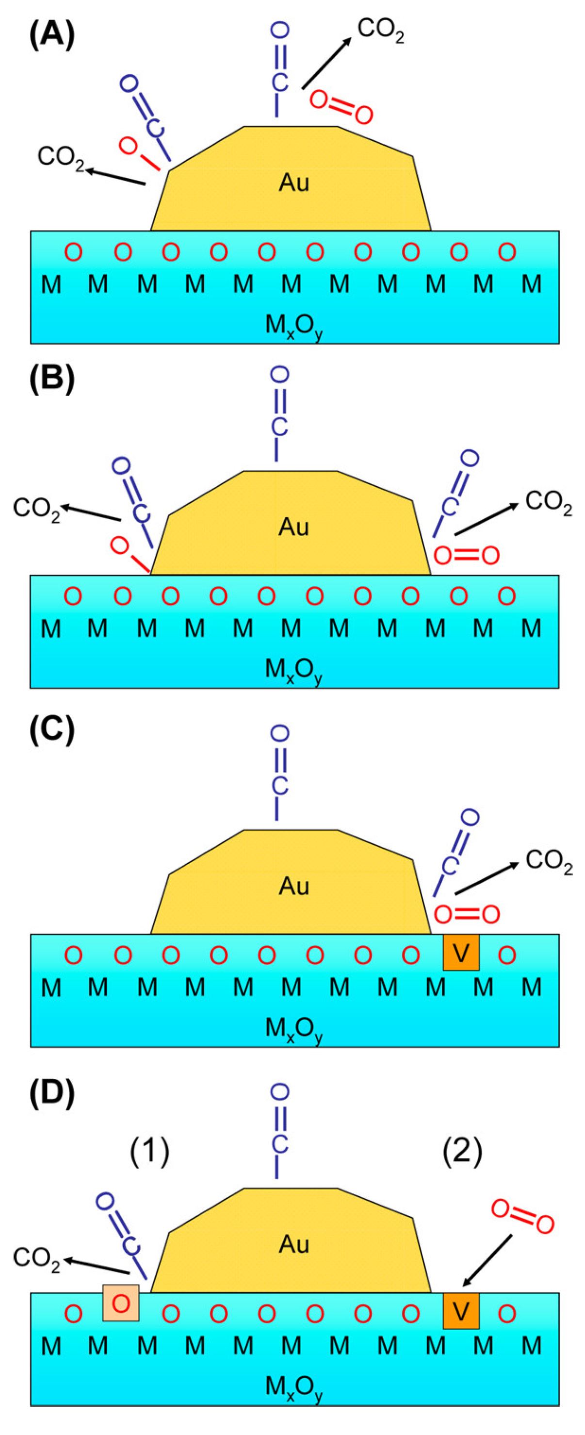 Catalysts 15 00415 g005