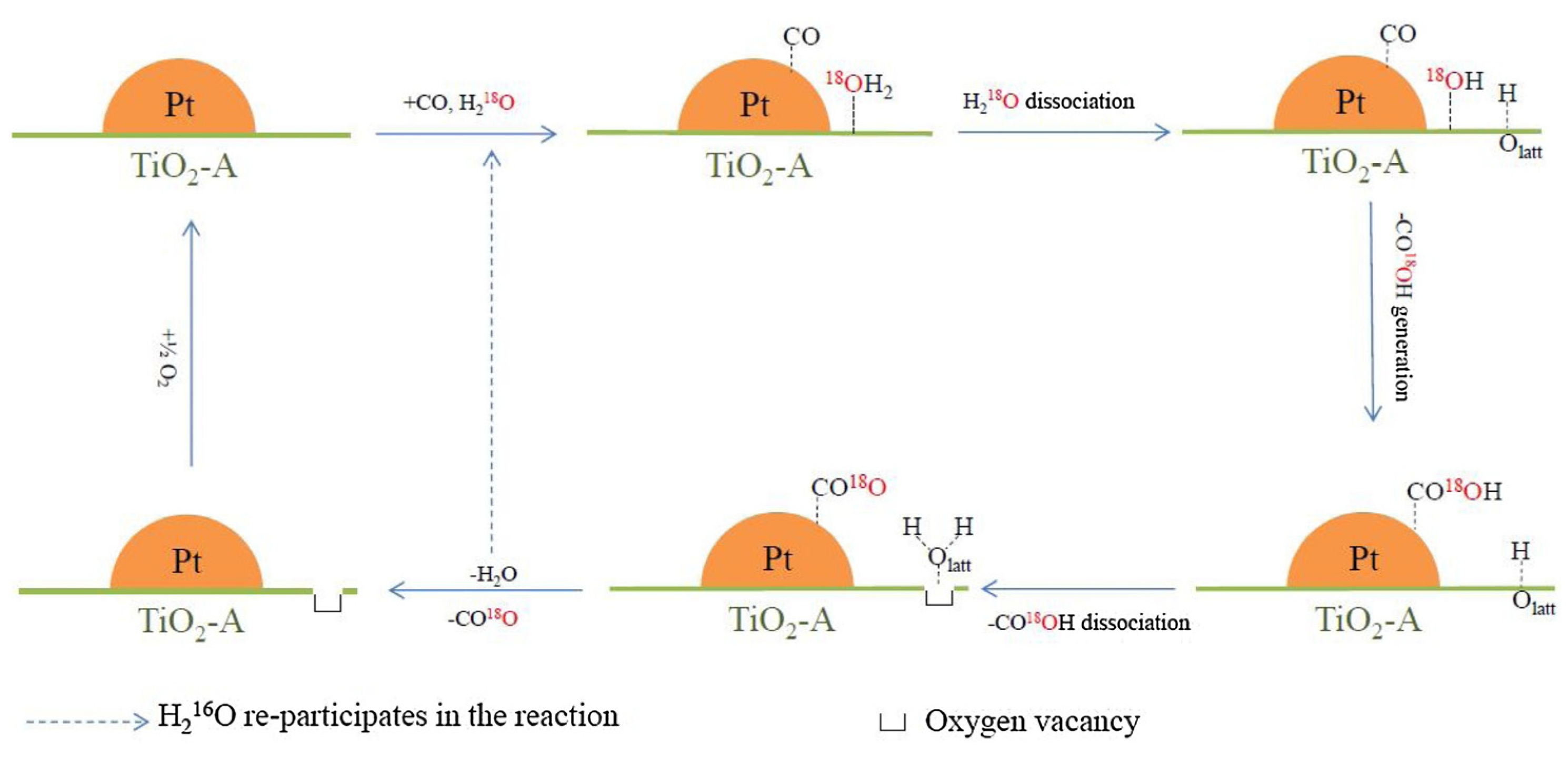 Catalysts 15 00415 g006