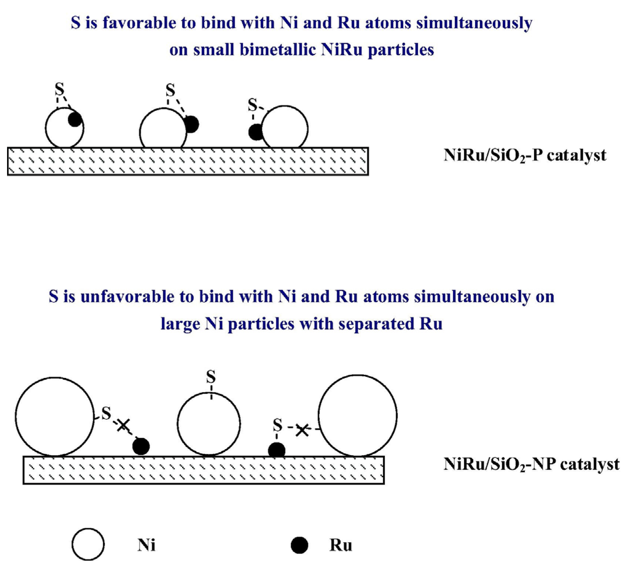 Catalysts 15 00415 g008
