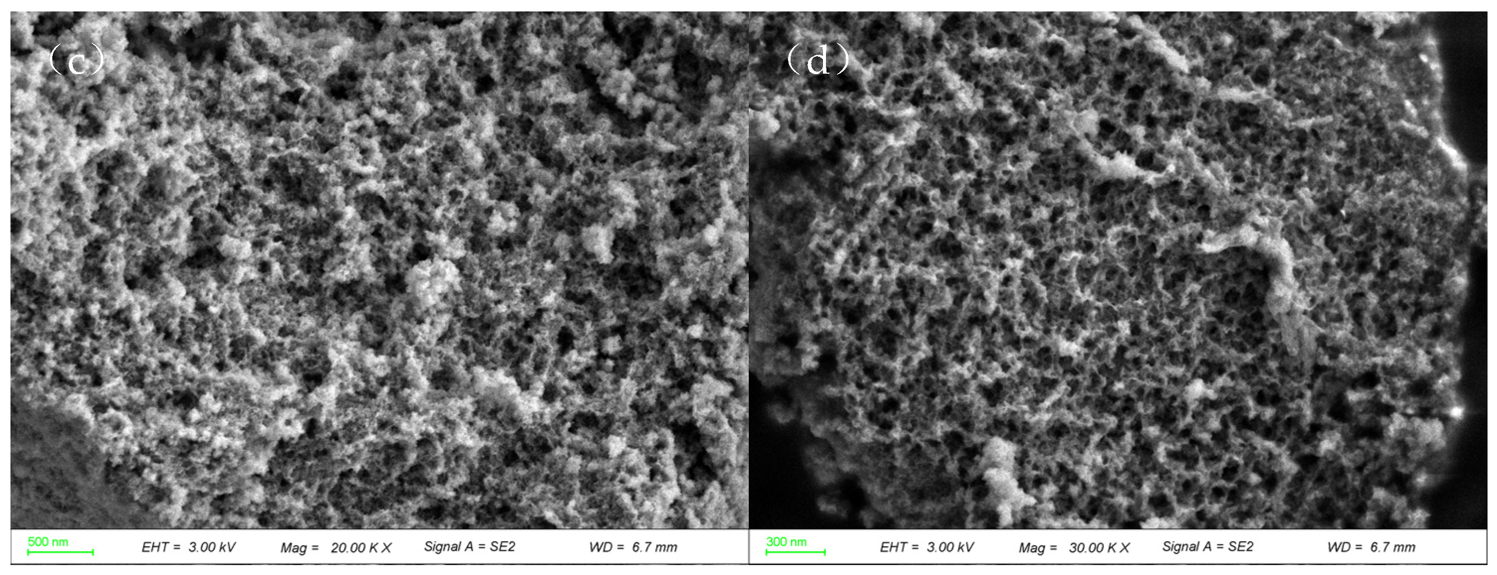 Catalysts 15 00416 g006b