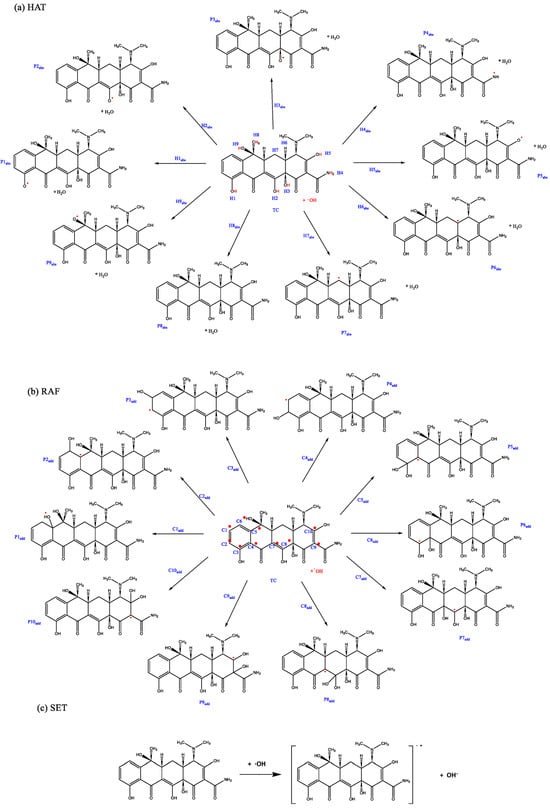 Catalysts 15 00420 g003