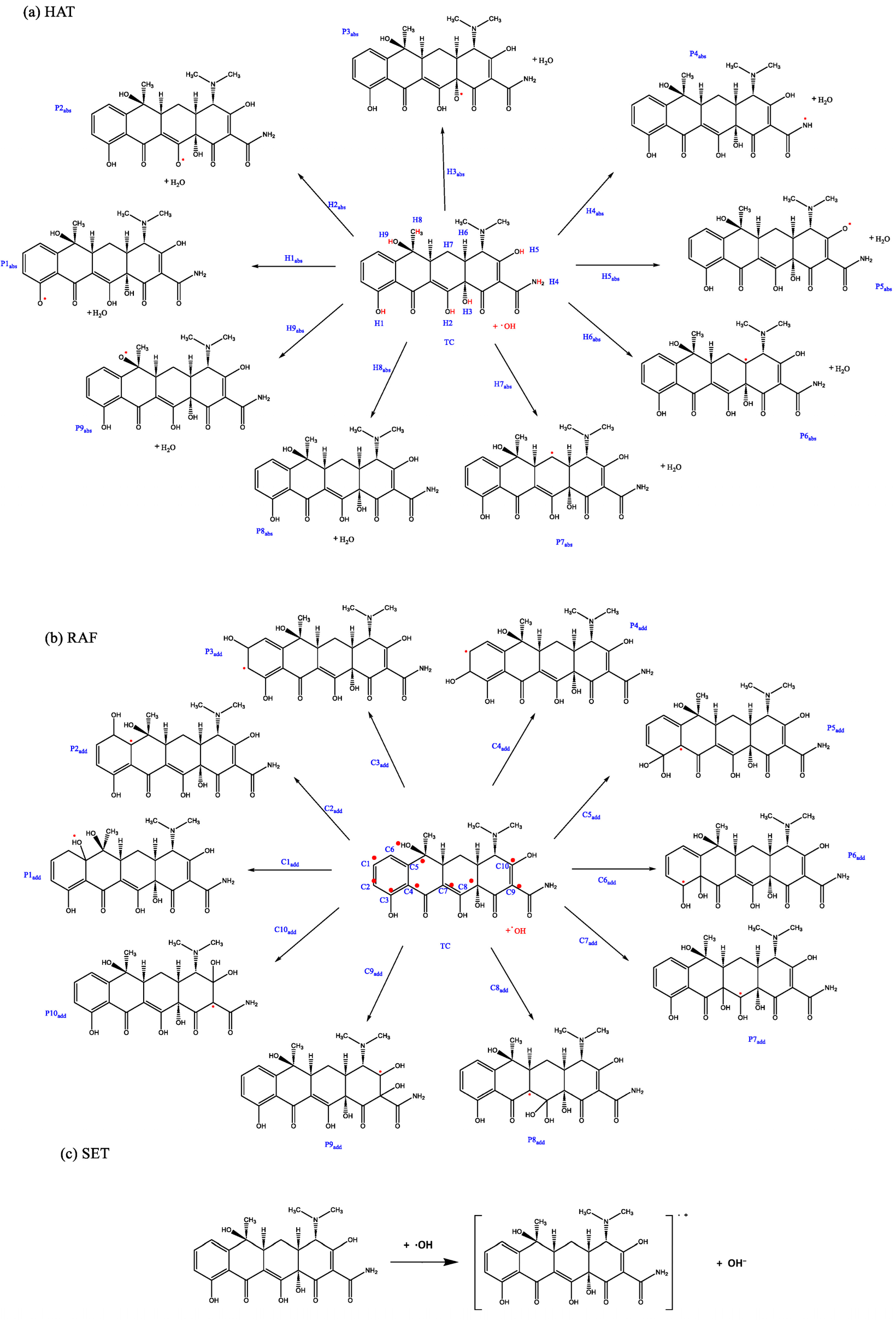 Catalysts 15 00420 g003