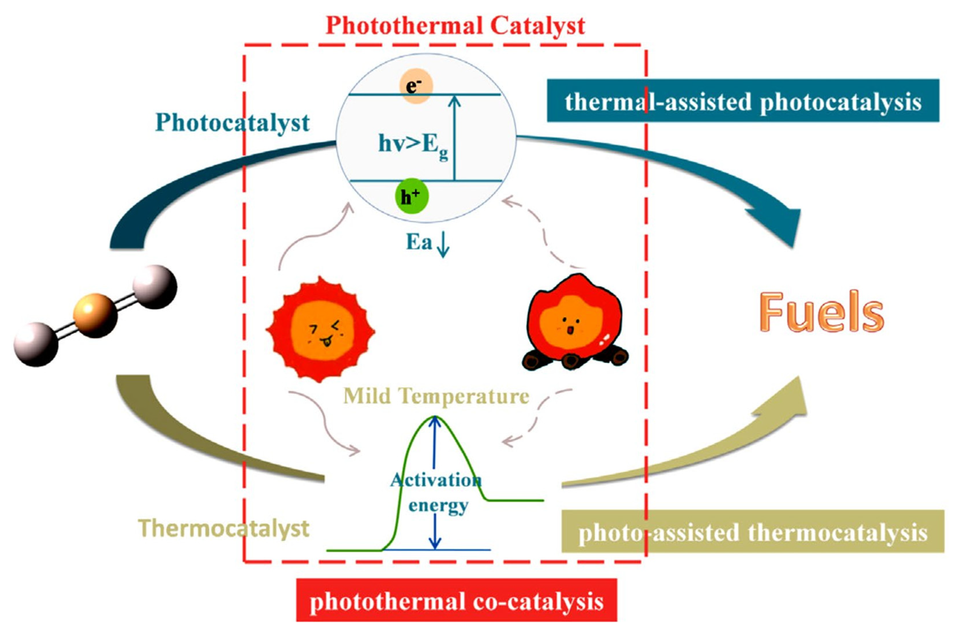 Catalysts 15 00421 g006