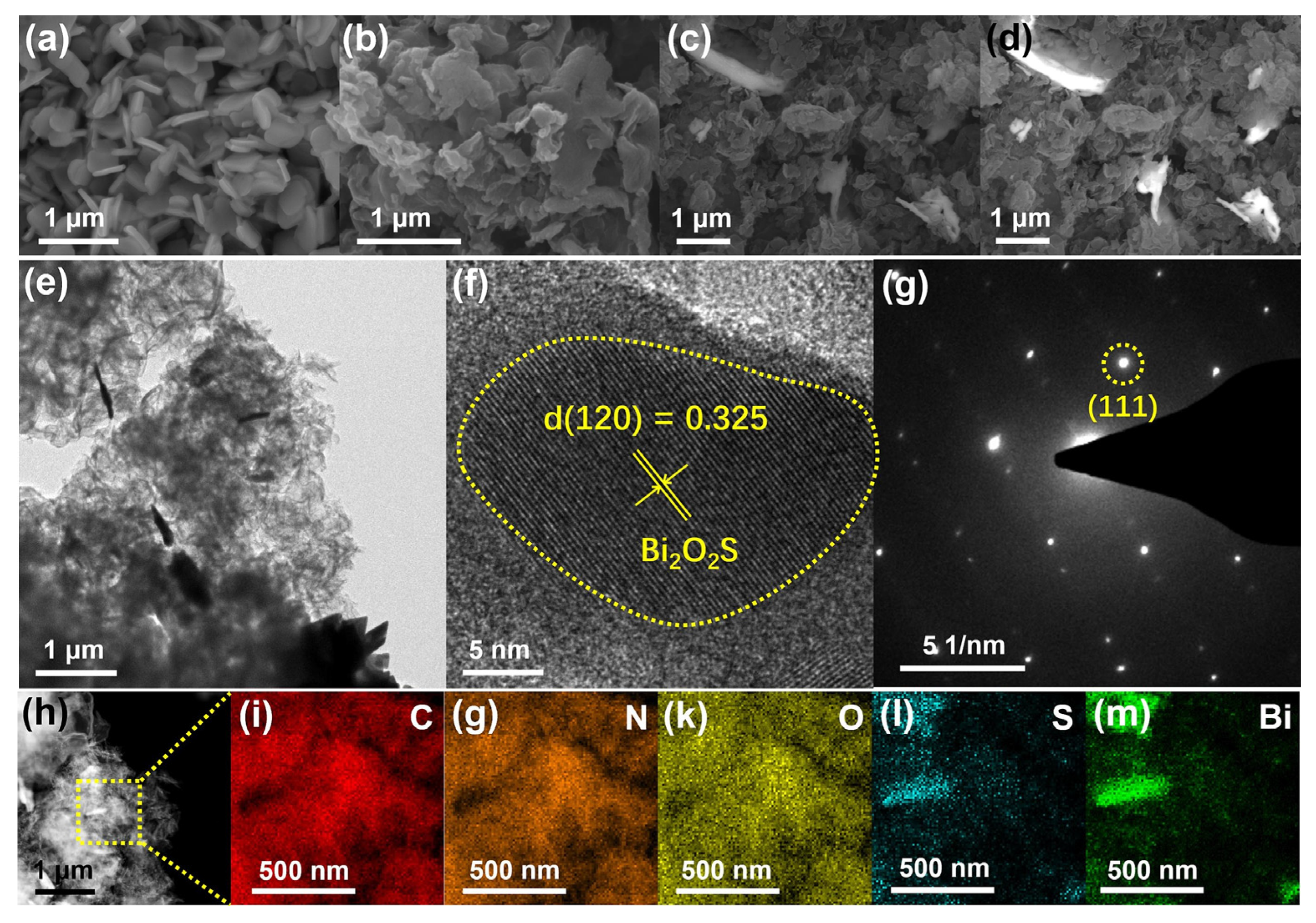 Catalysts 15 00421 g007