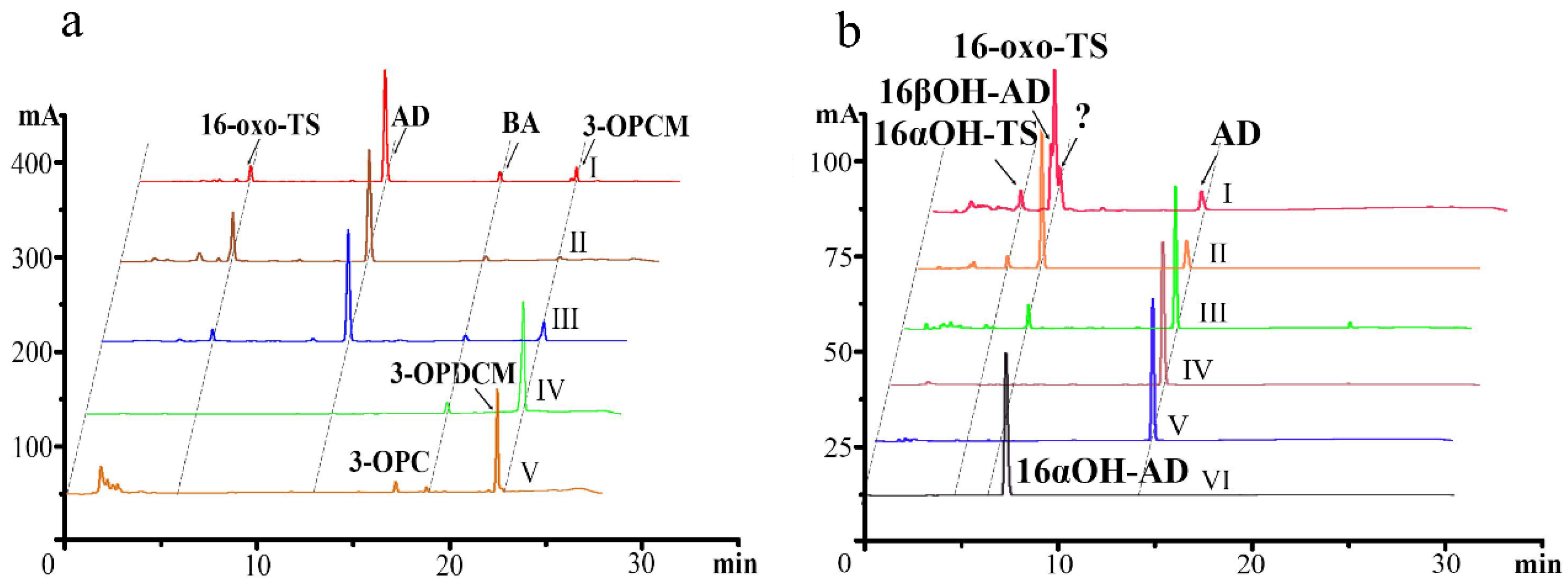 Catalysts 15 00423 g004