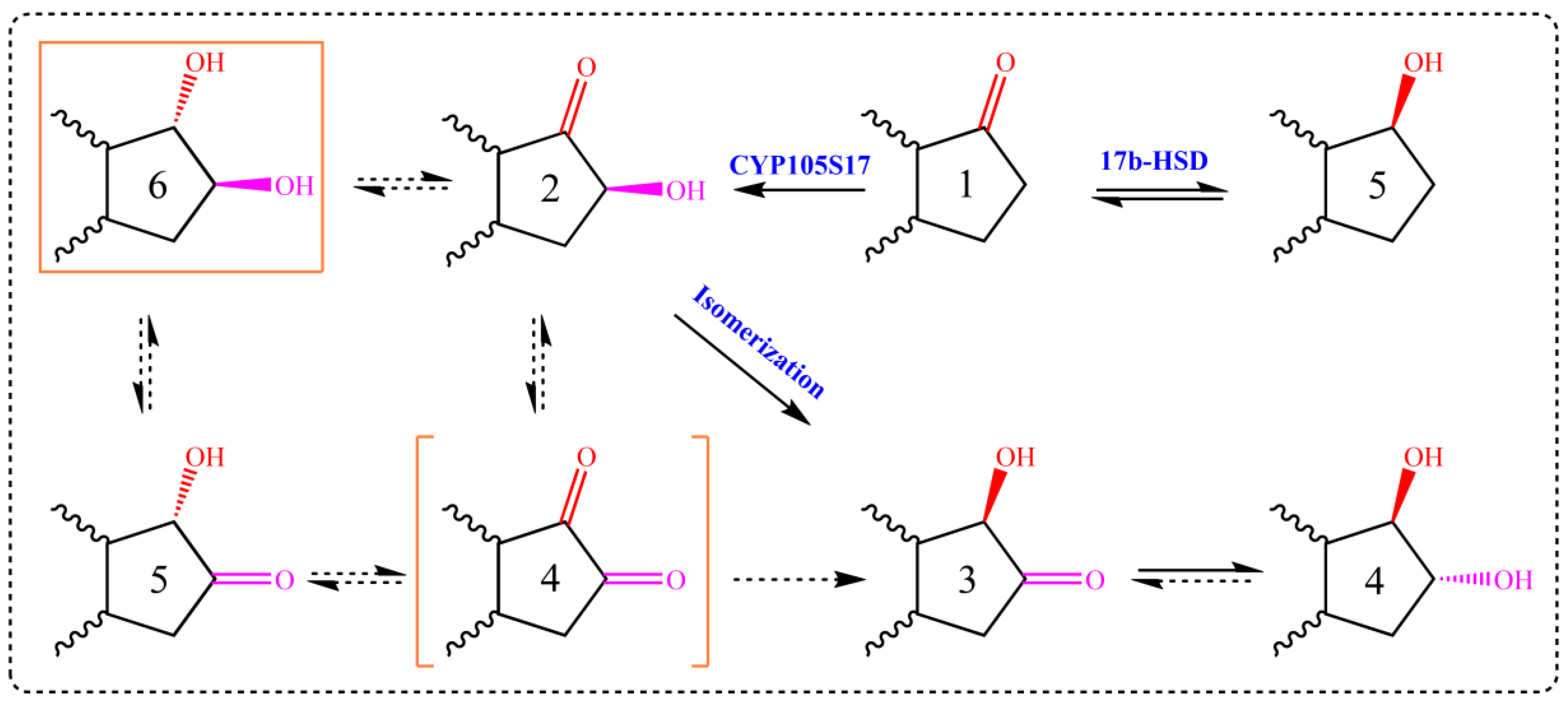 Catalysts 15 00423 g005