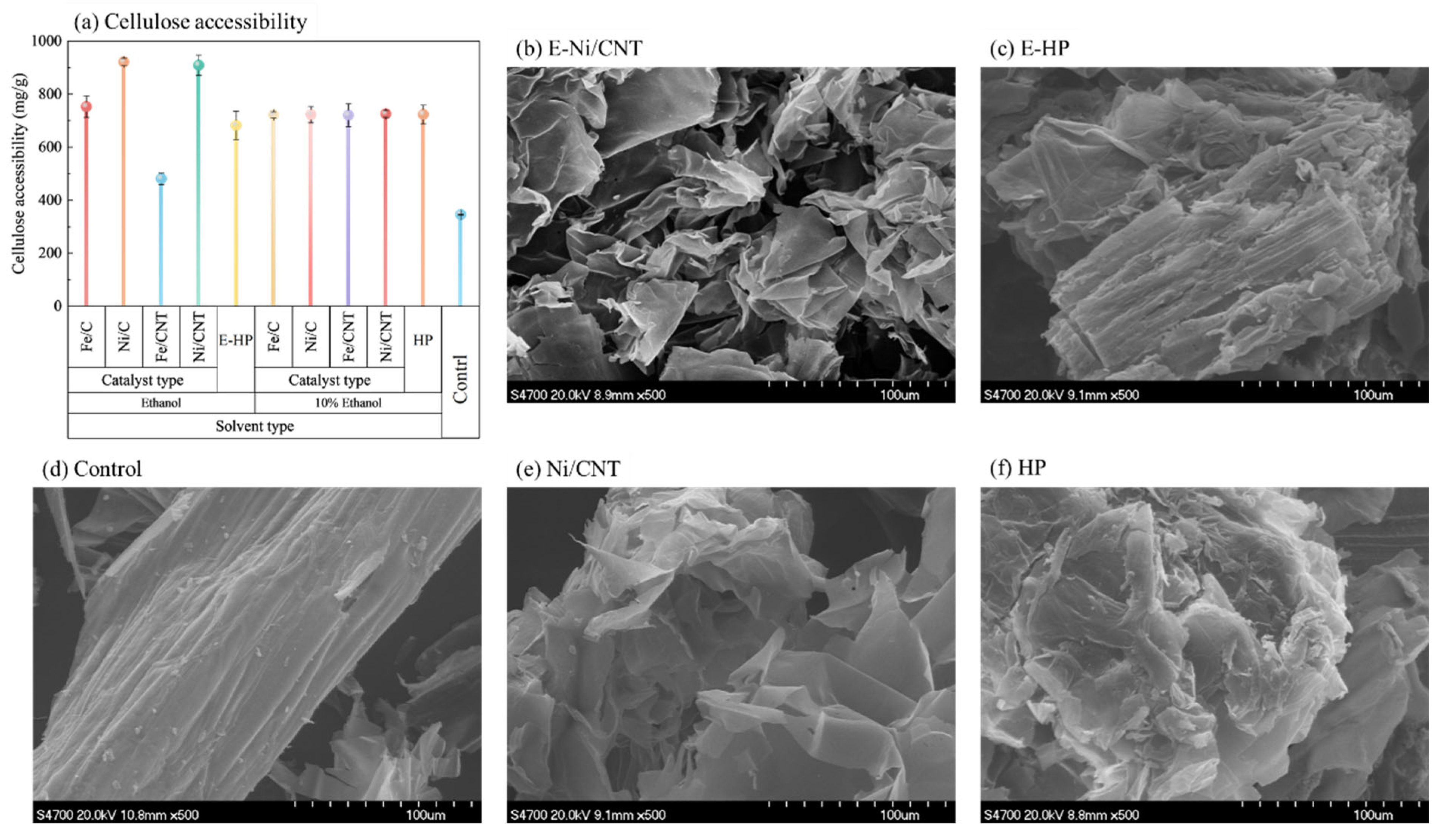 Catalysts 15 00429 g003