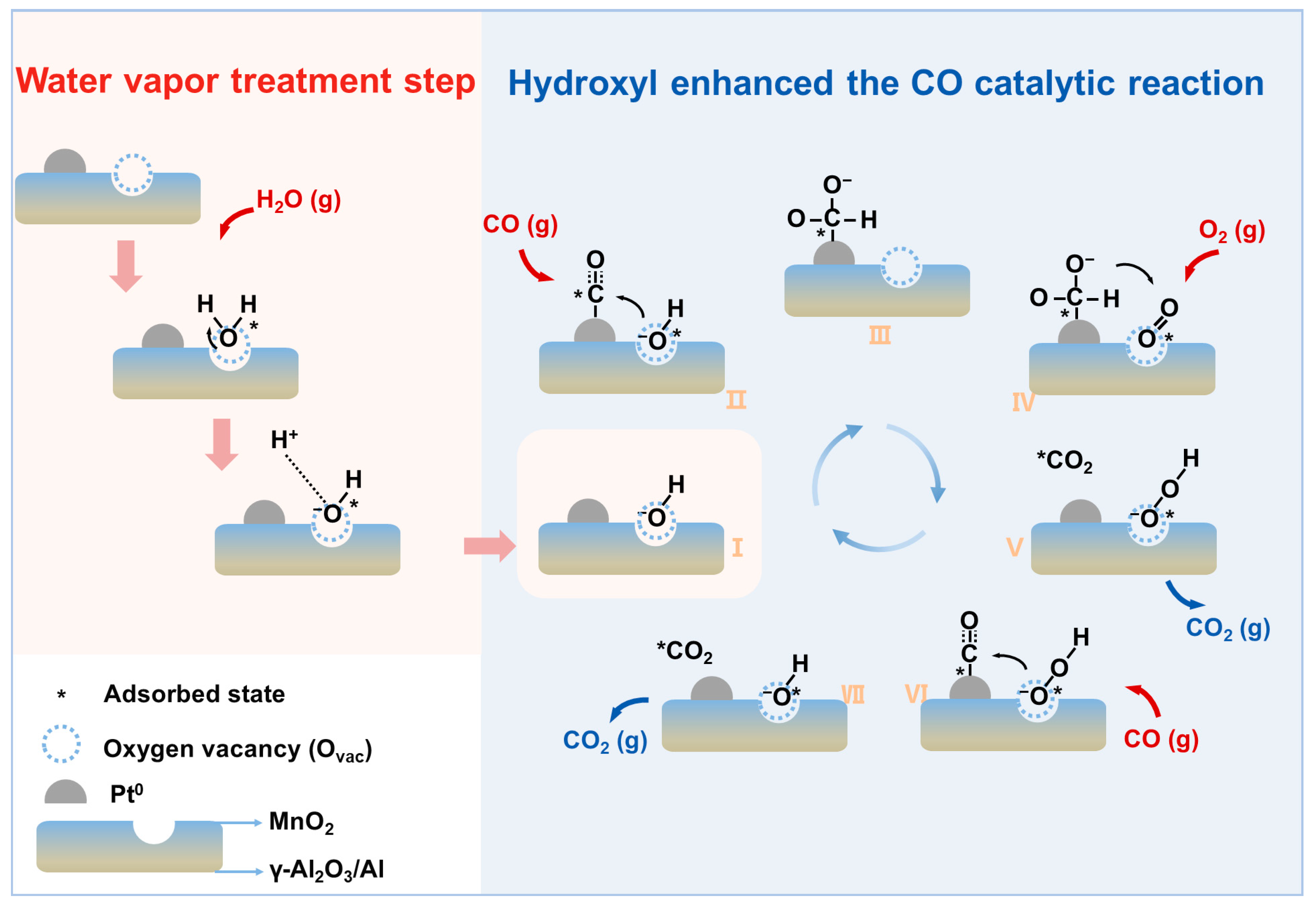 Catalysts 15 00430 g012 Catalysts 15 00430 g012