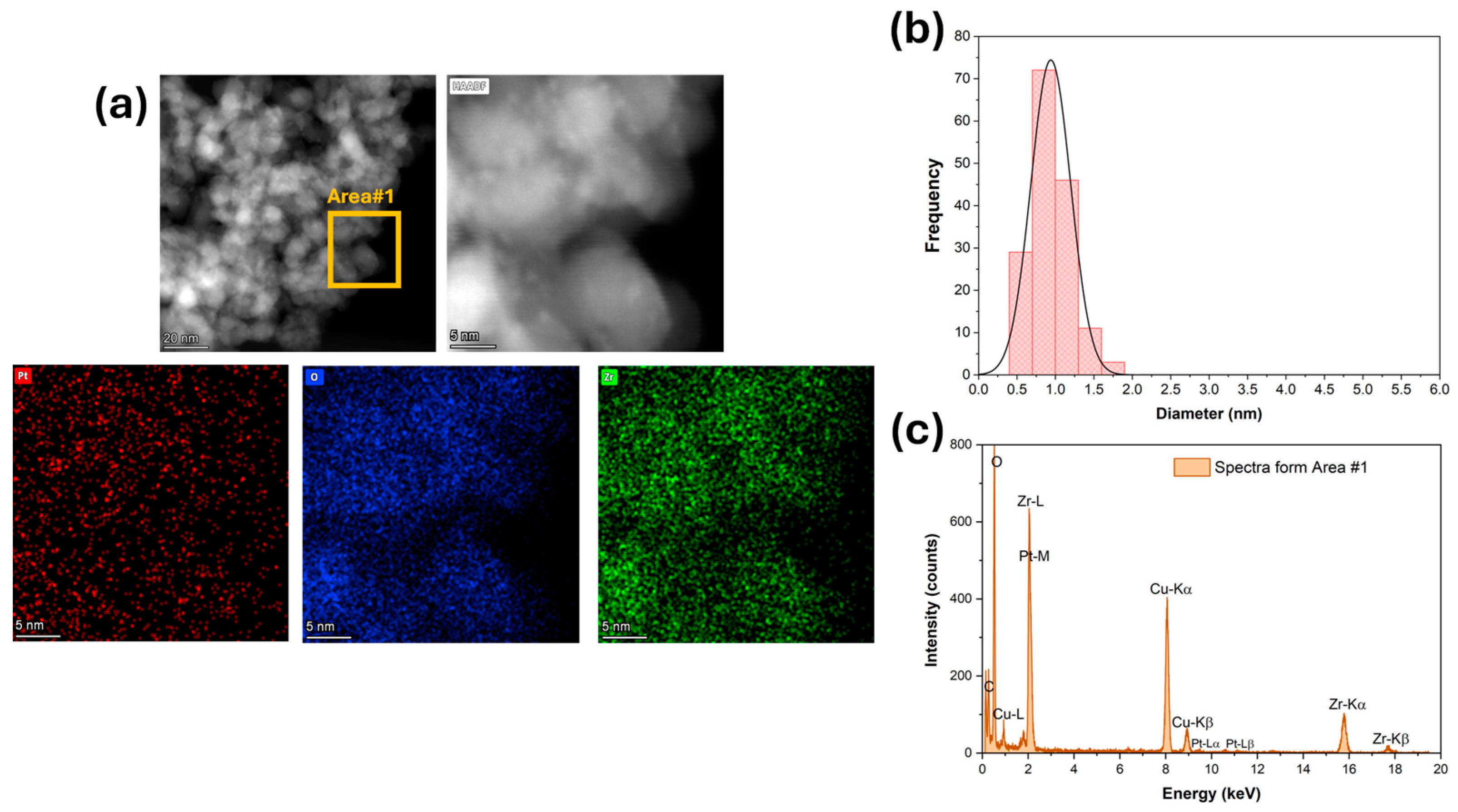 Catalysts 15 00435 g003