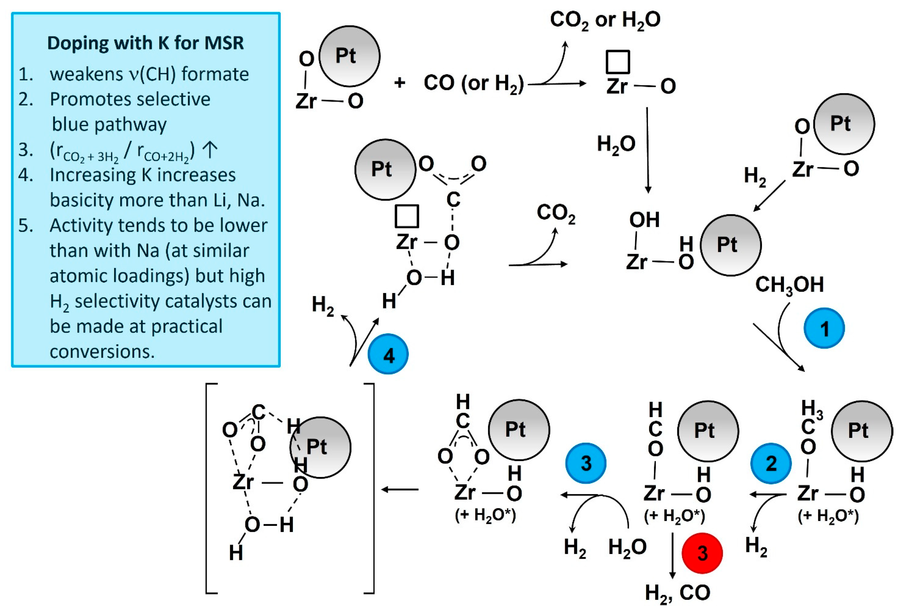 Catalysts 15 00435 g012
