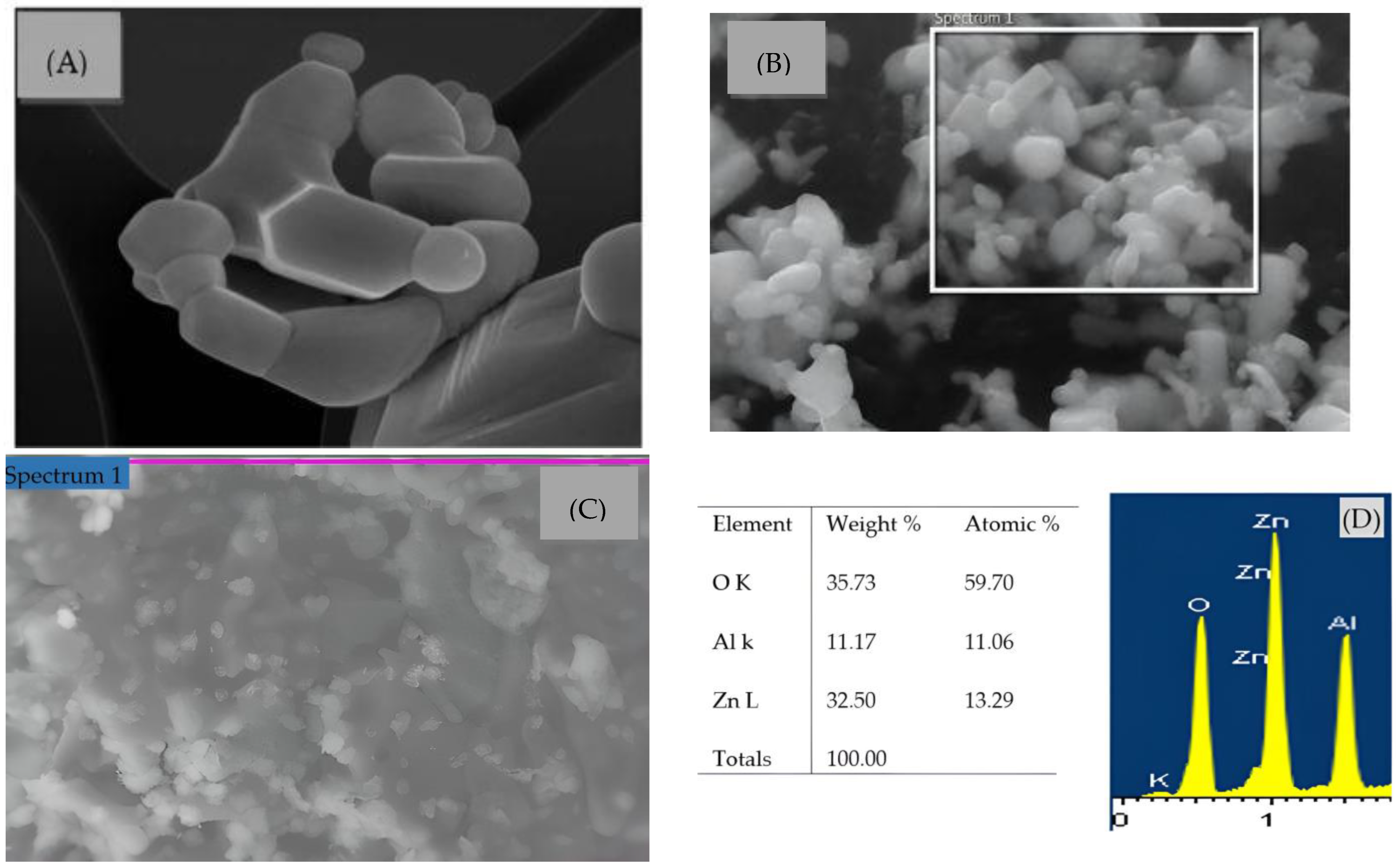 Catalysts 15 00437 g001