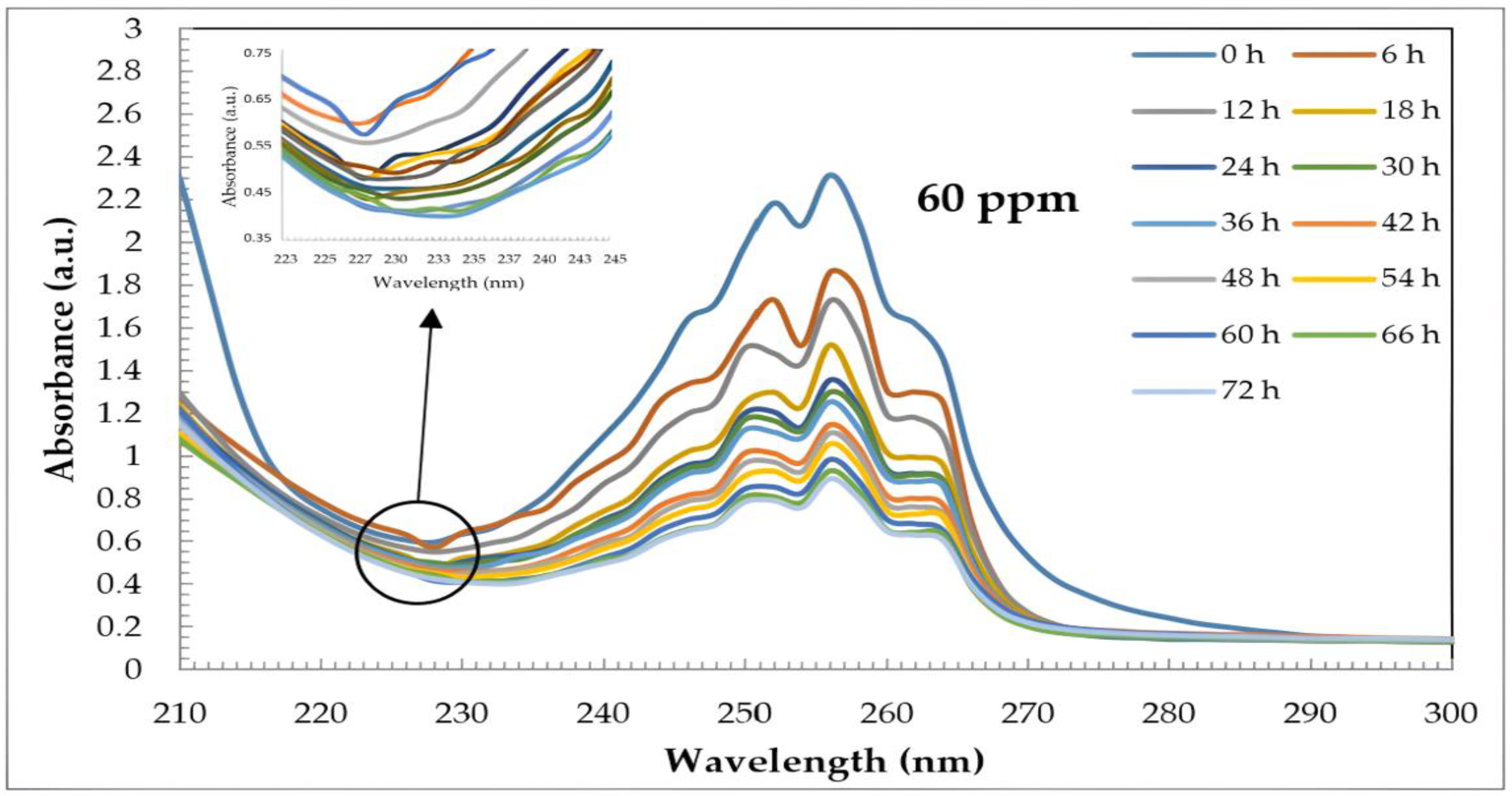 Catalysts 15 00437 g005