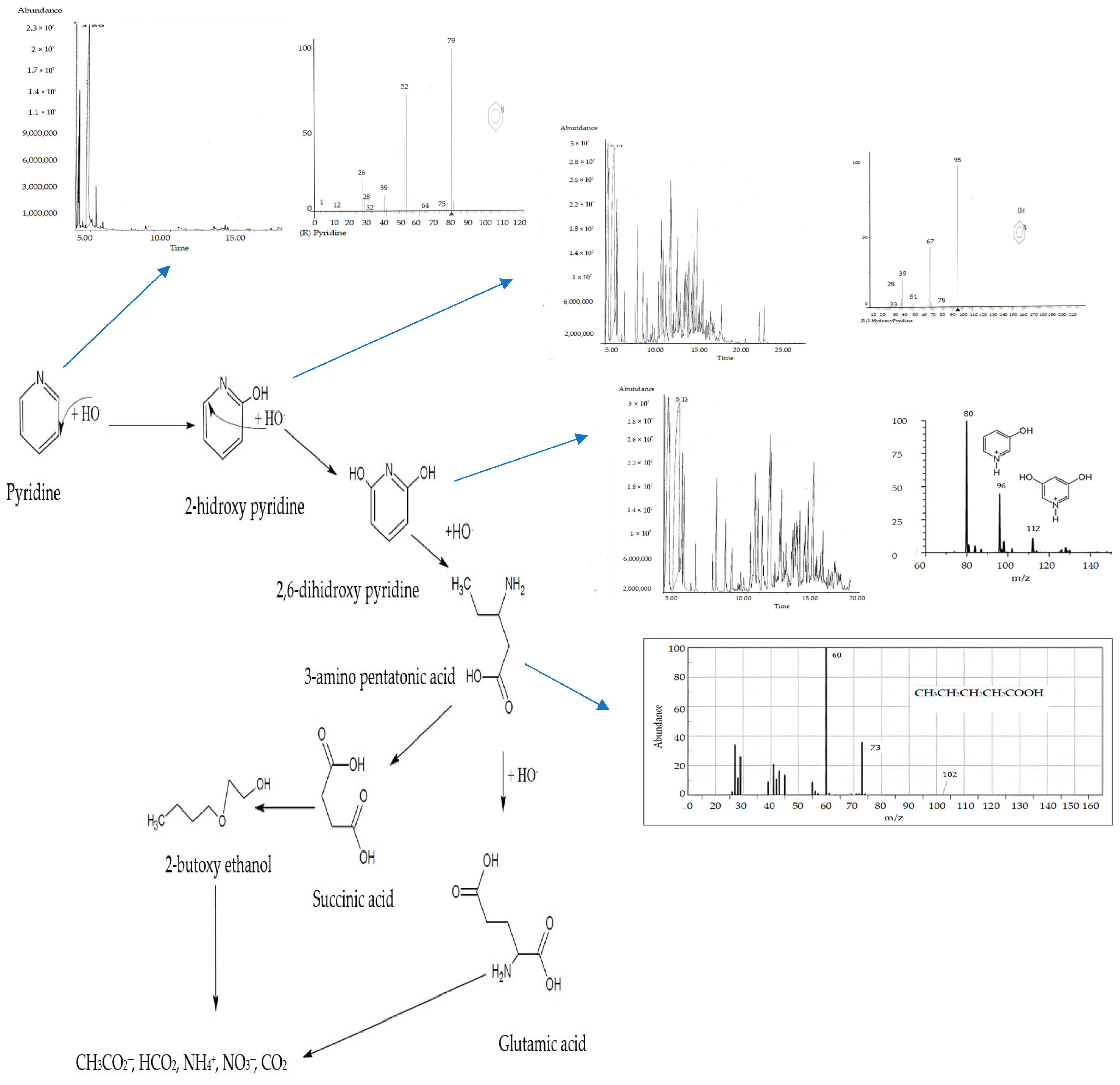 Catalysts 15 00437 g010