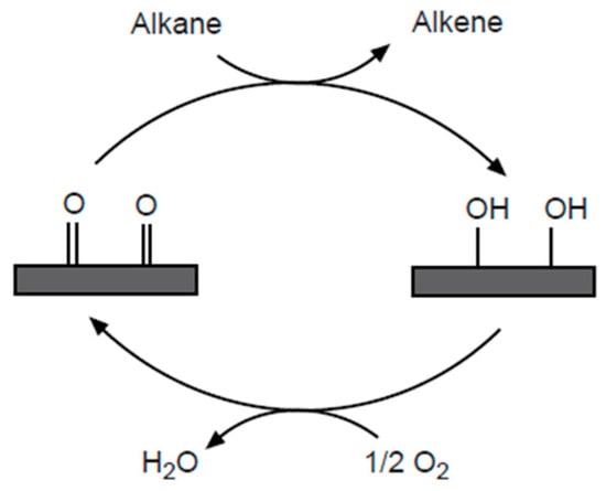 Catalysts 15 00443 g002