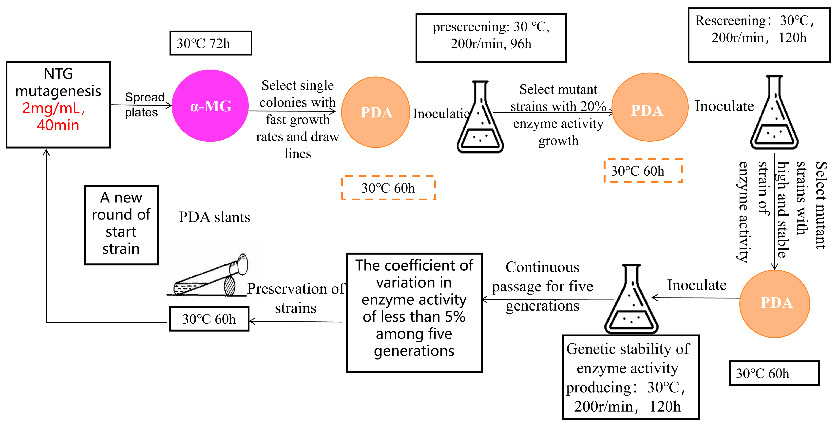 Catalysts 15 00450 g008