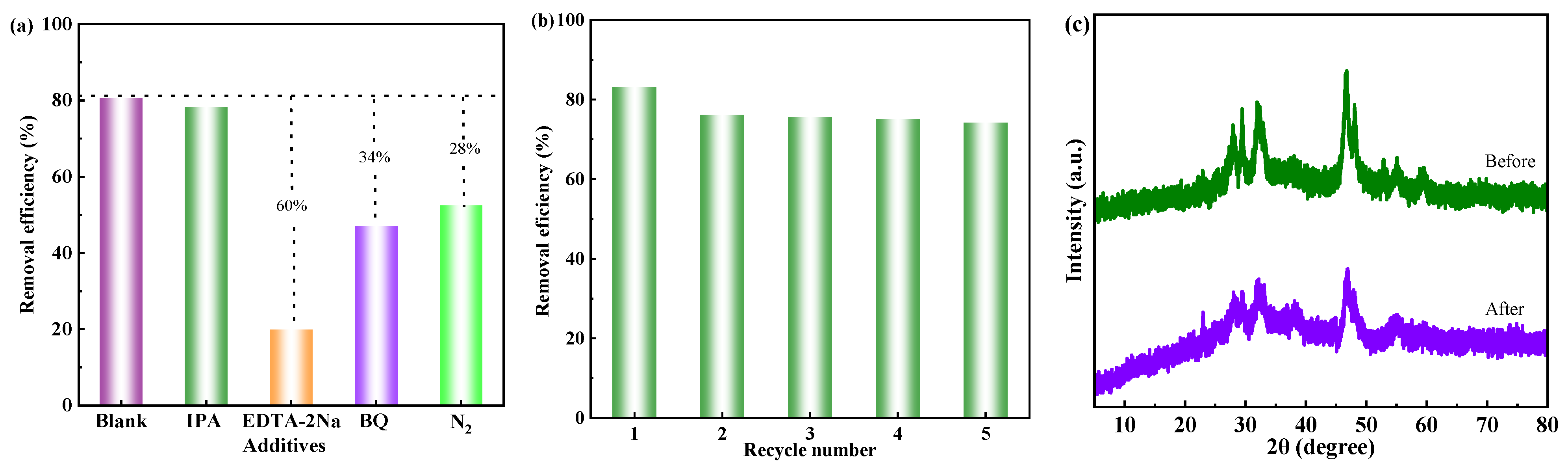 Catalysts 15 00458 g007 Catalysts 15 00458 g007