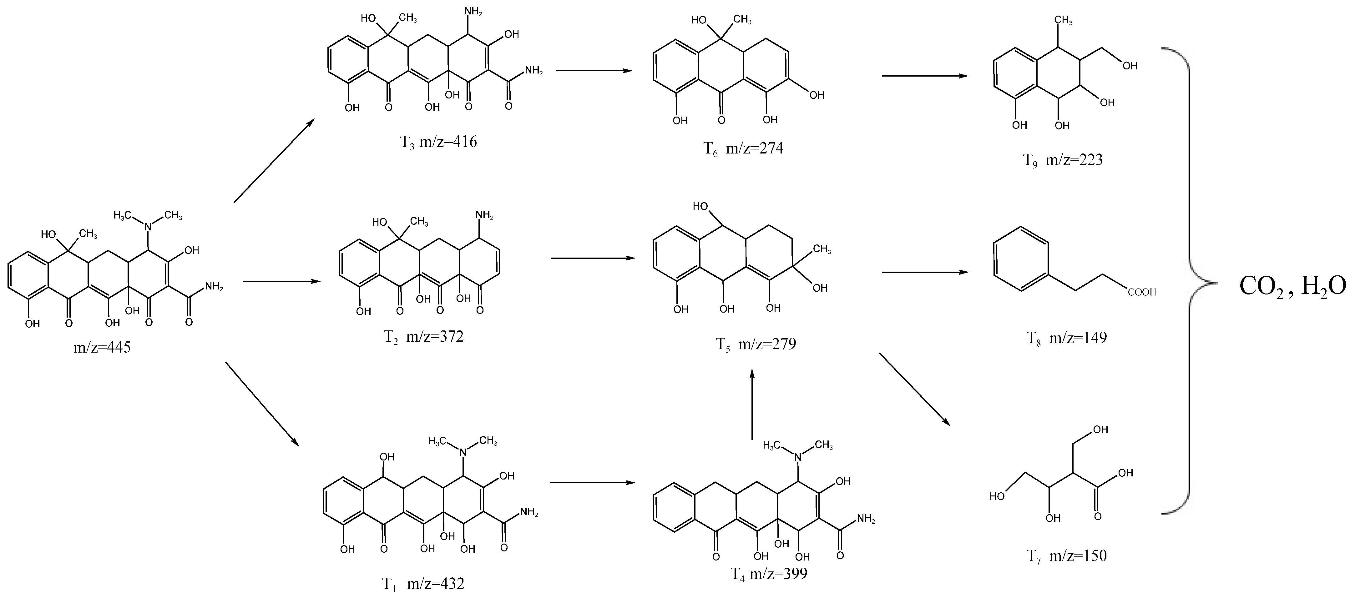 Catalysts 15 00458 g008 Catalysts 15 00458 g008