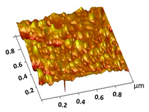 Catalysts 15 00472 i002