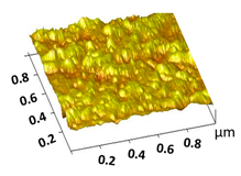 Catalysts 15 00472 i003