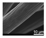 Catalysts 15 00472 i005