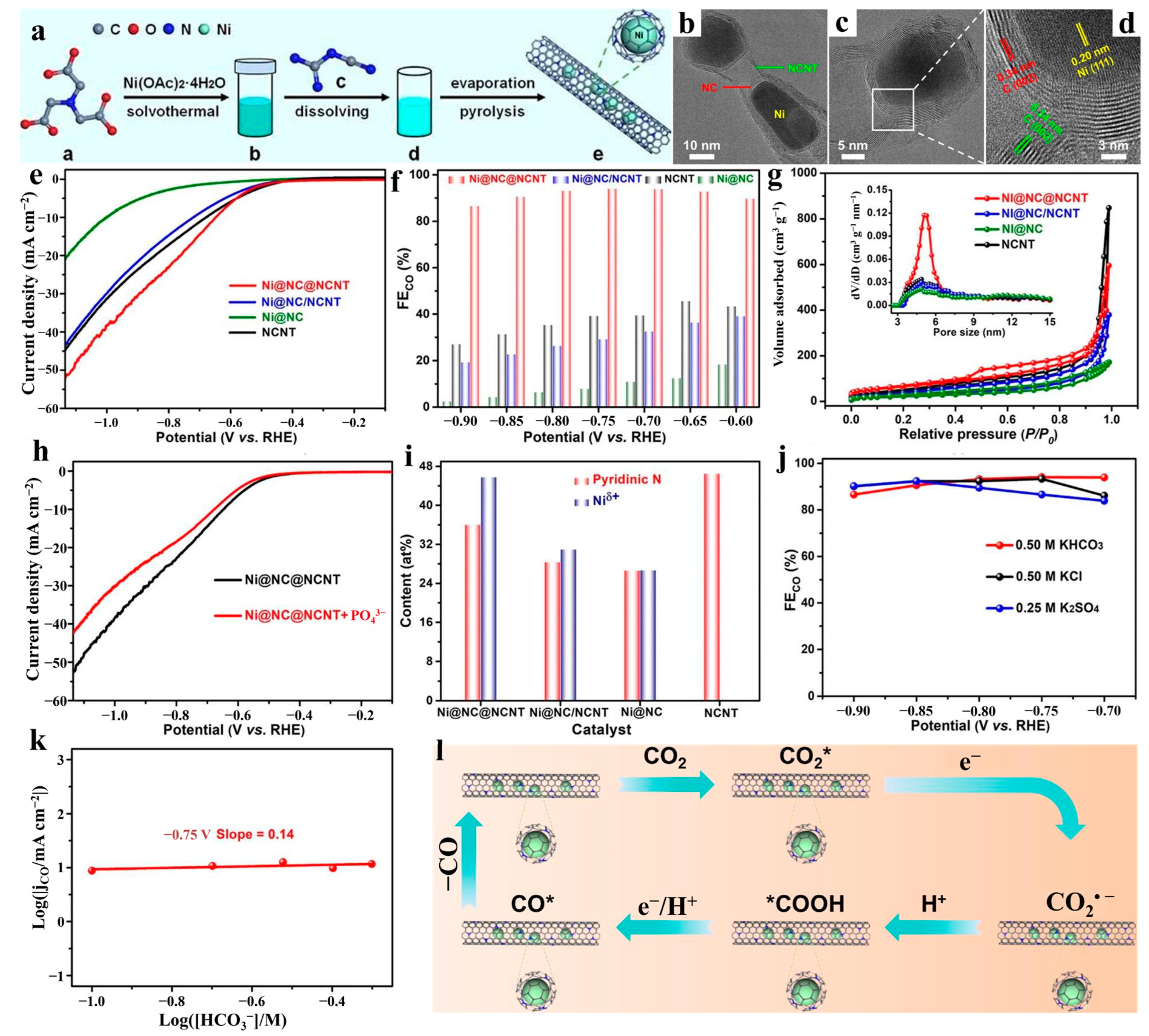 Catalysts 15 00477 g004 Catalysts 15 00477 g004