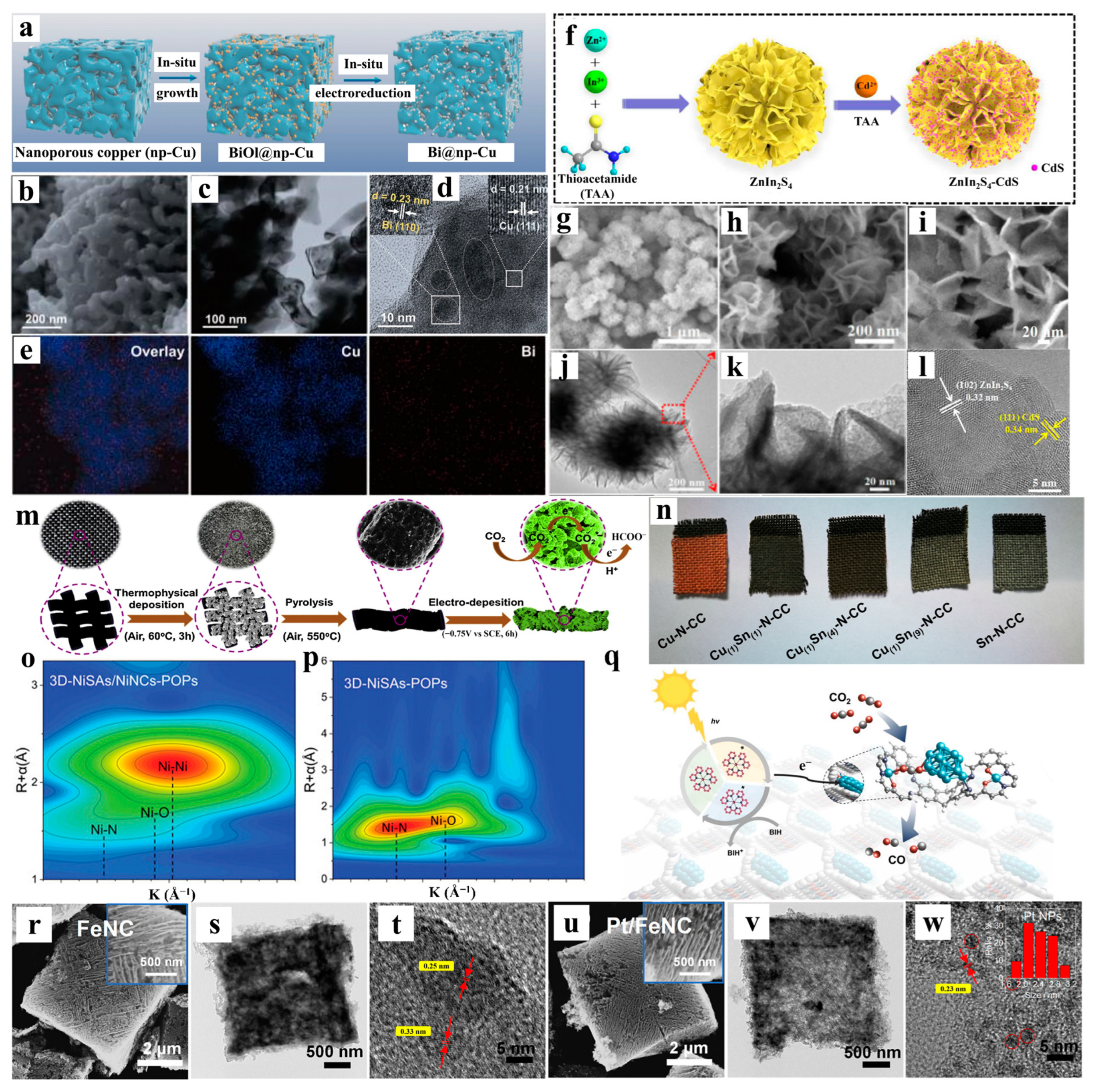 Catalysts 15 00477 g008 Catalysts 15 00477 g008