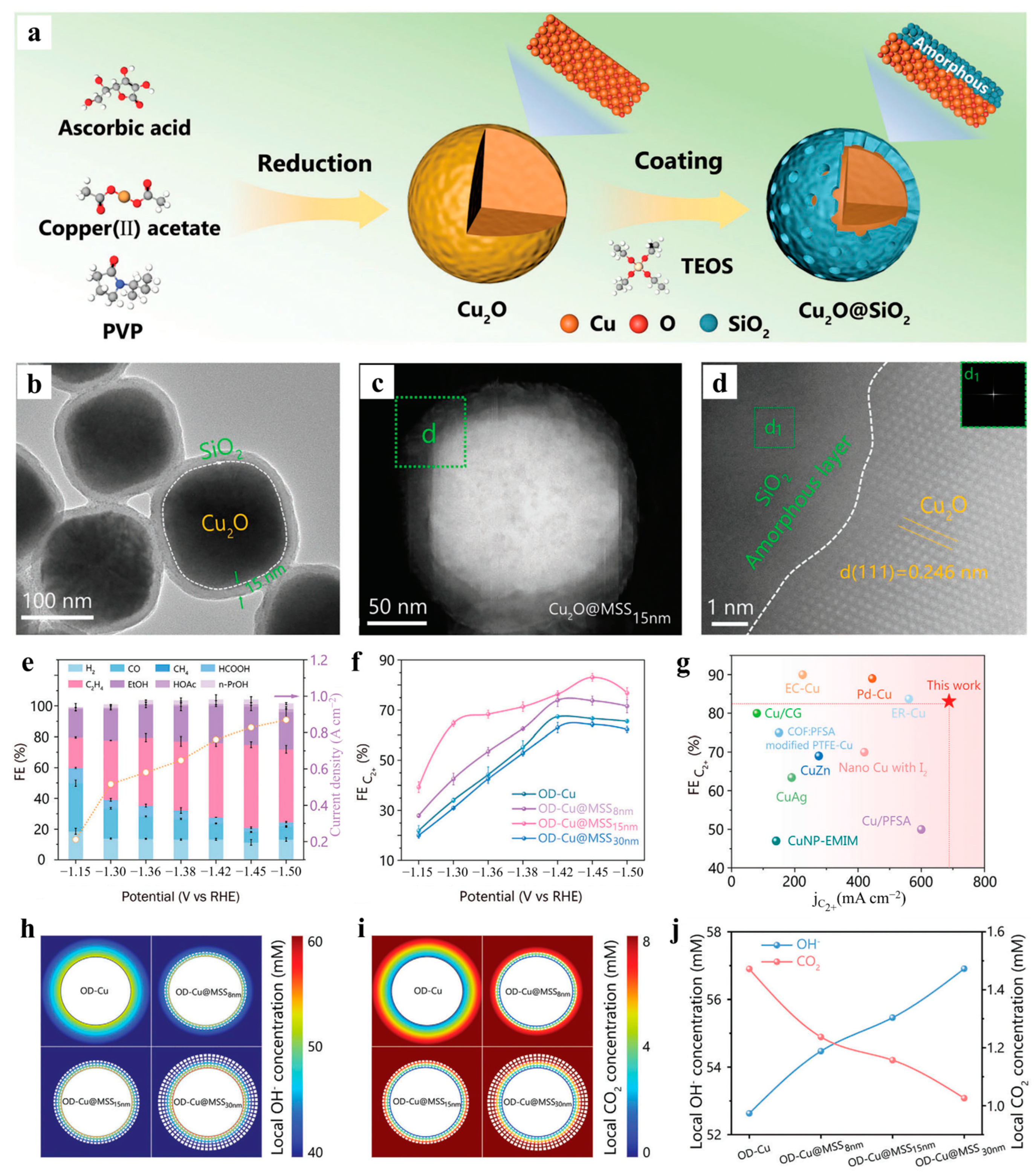 Catalysts 15 00477 g020 Catalysts 15 00477 g020