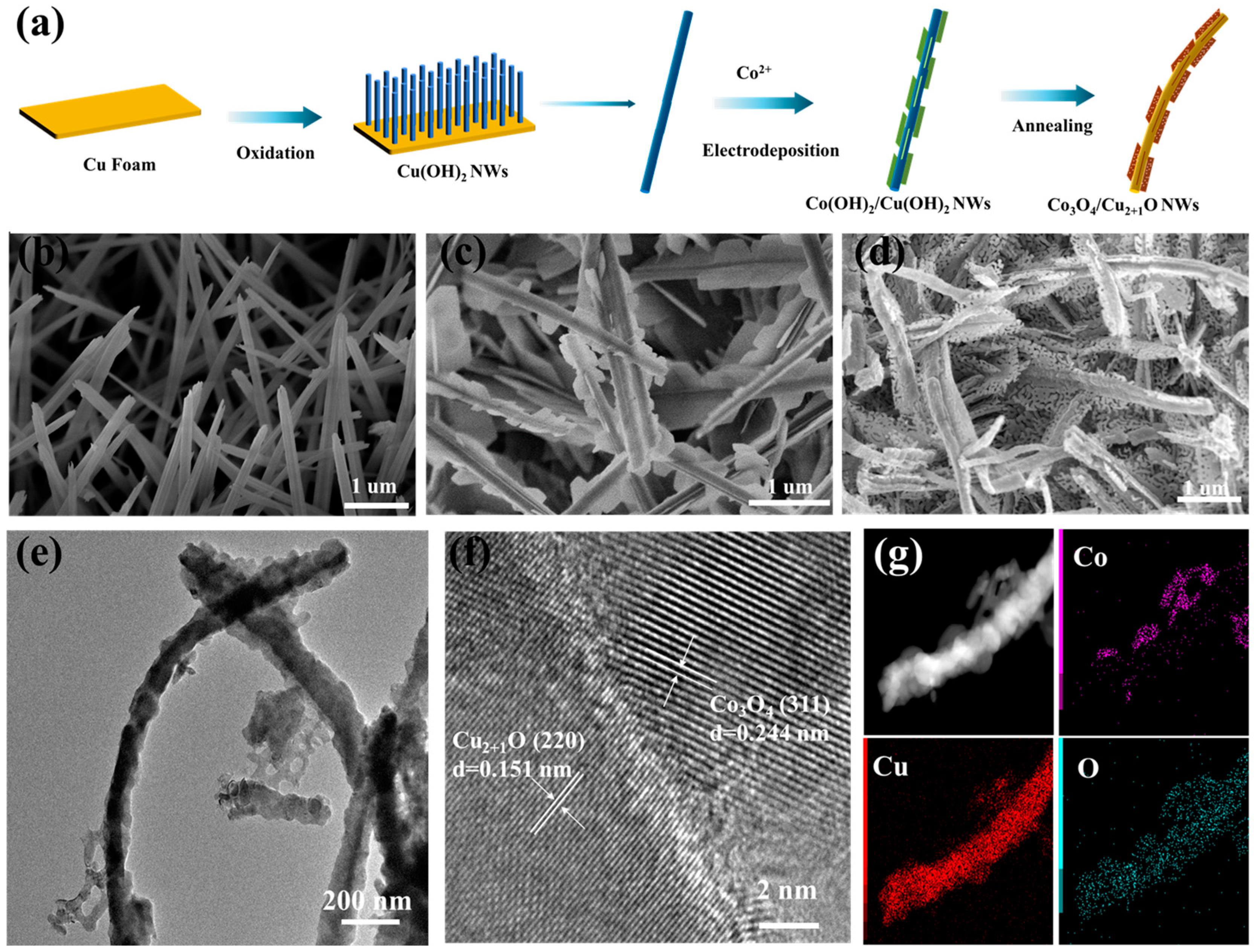 Catalysts 15 00491 g001 Catalysts 15 00491 g001