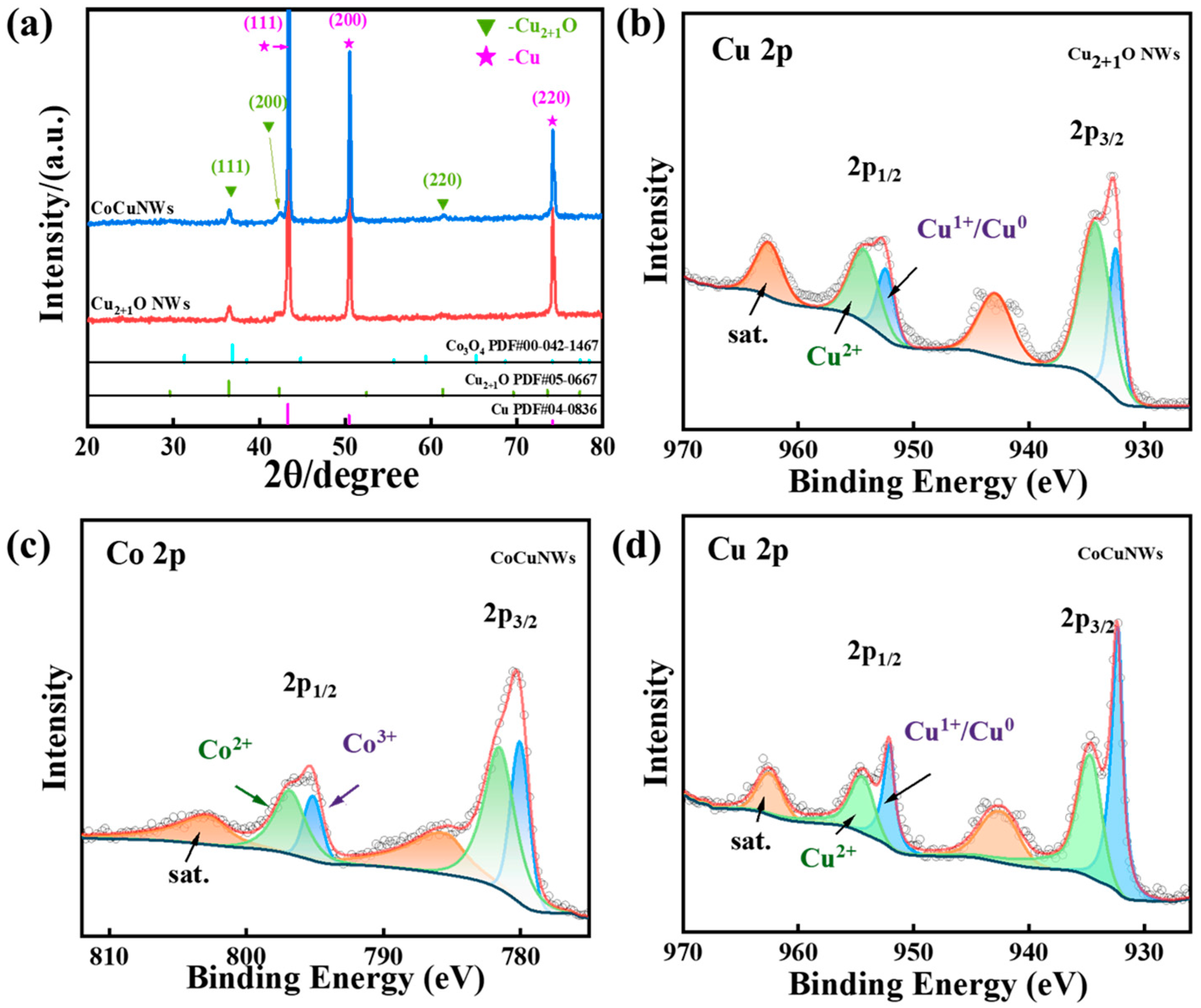 Catalysts 15 00491 g002 Catalysts 15 00491 g002
