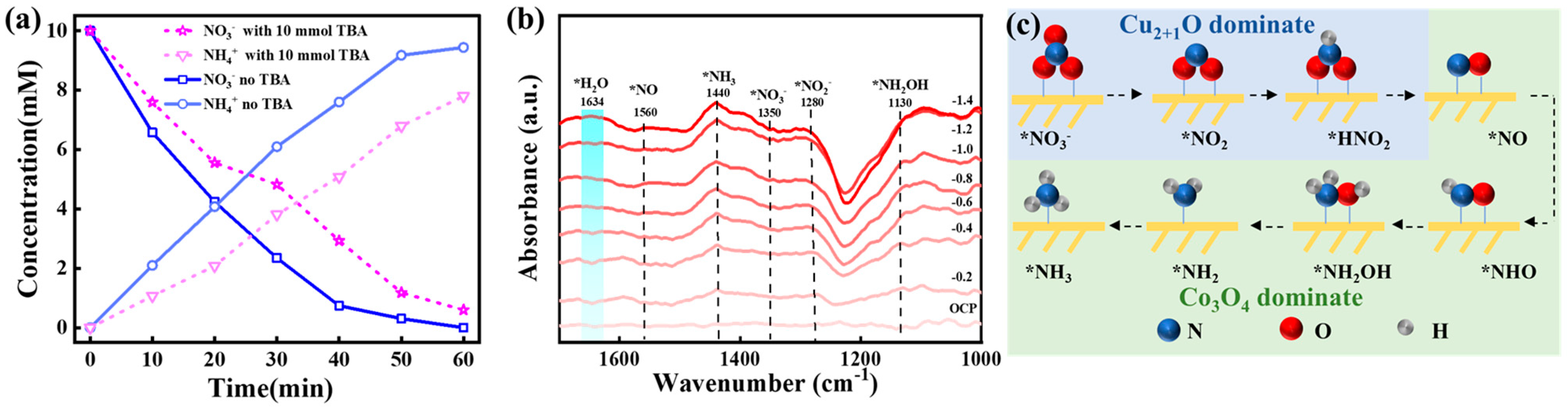 Catalysts 15 00491 g006 Catalysts 15 00491 g006