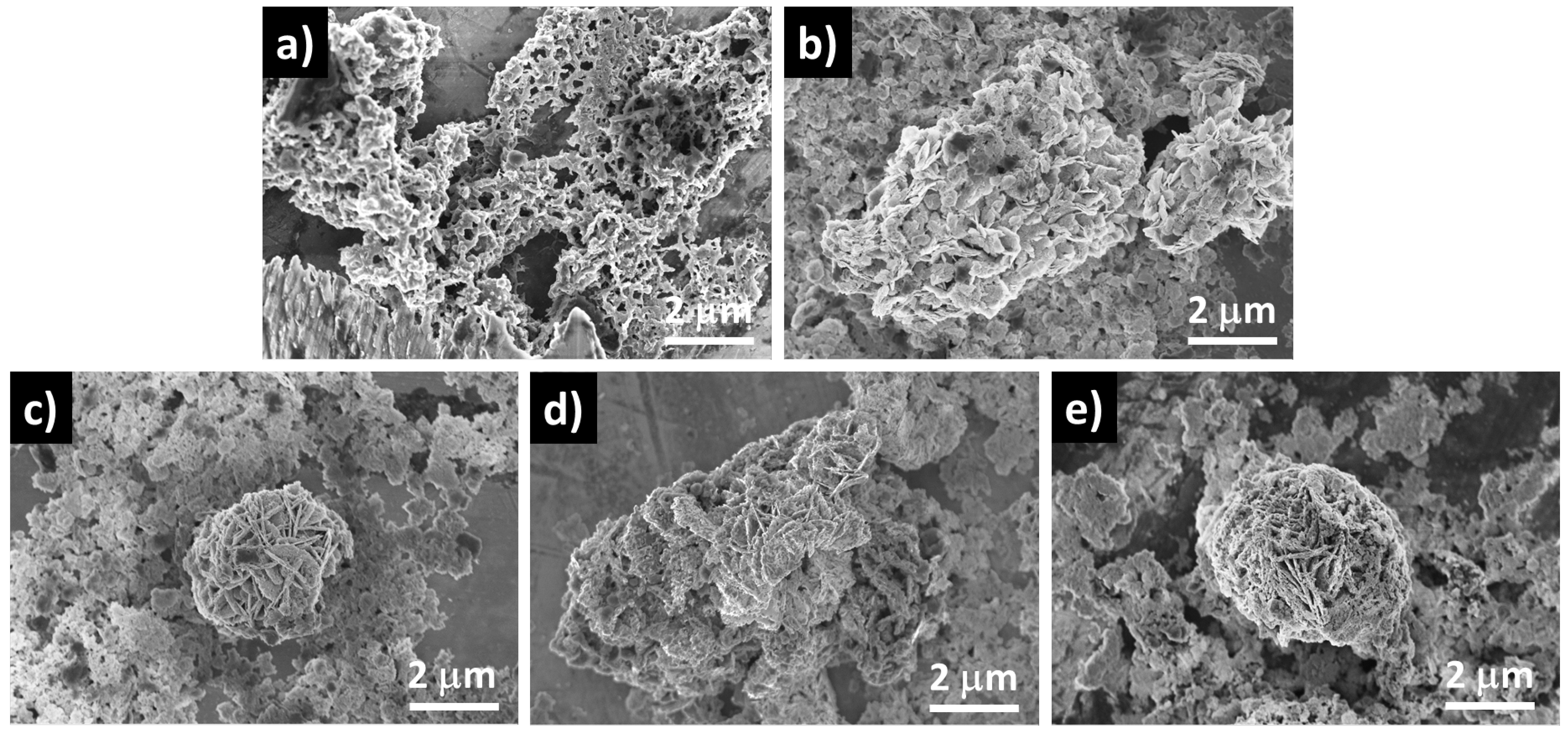Catalysts 15 00508 g004 Catalysts 15 00508 g004