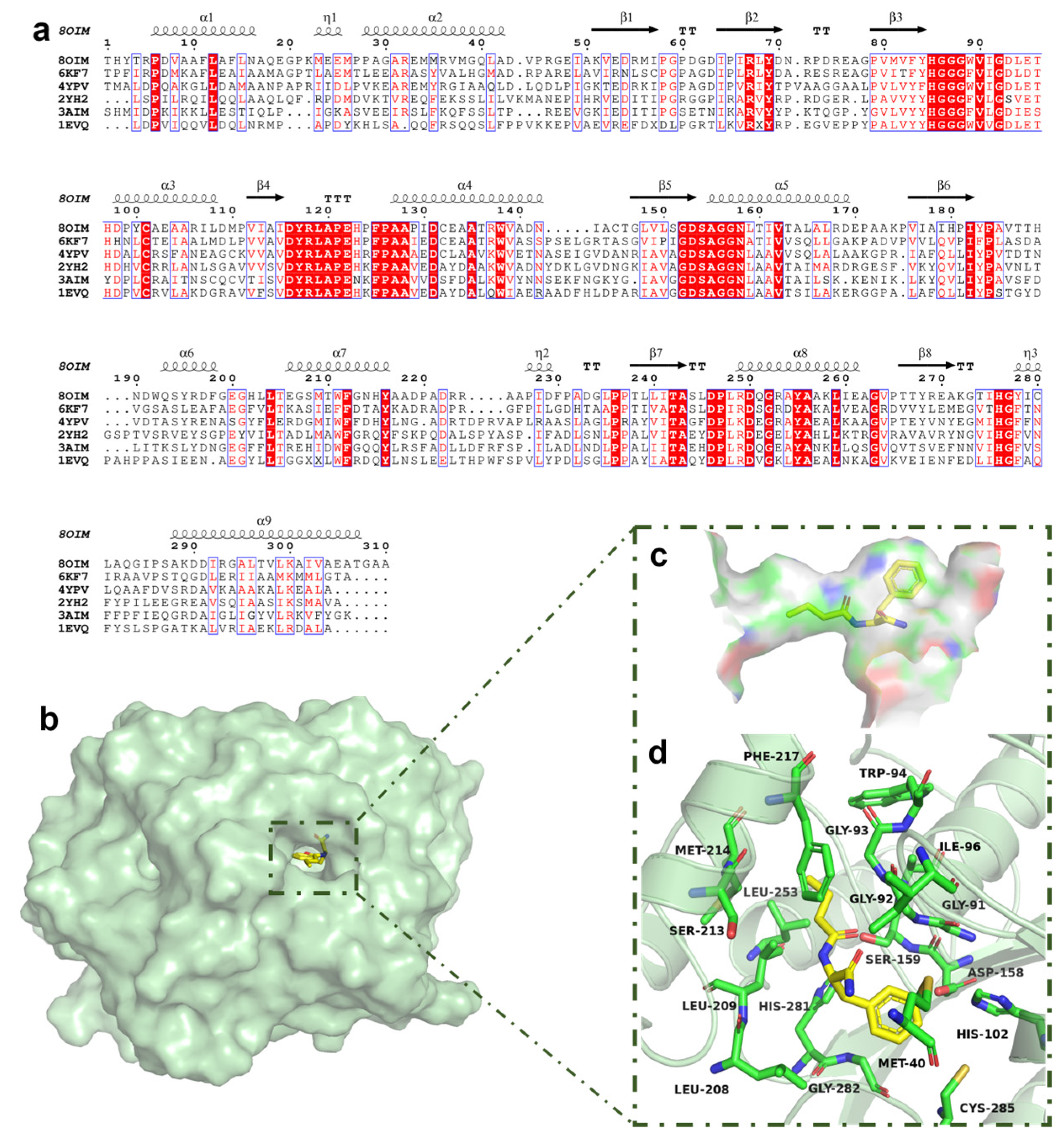 Catalysts 15 00514 g005
