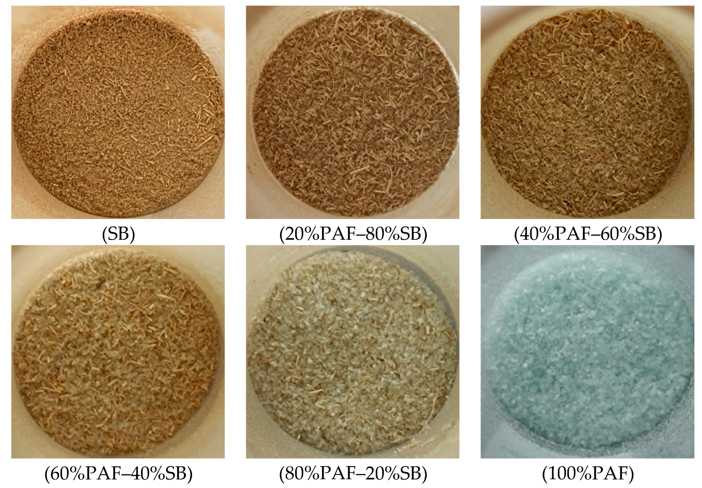 Catalysts 15 00517 g005 Catalysts 15 00517 g005