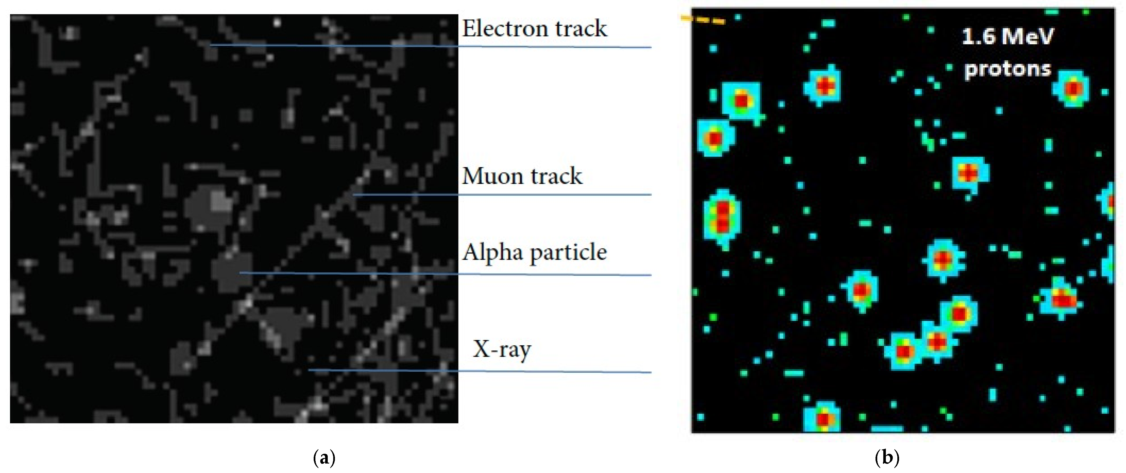 Catalysts 15 00526 g011