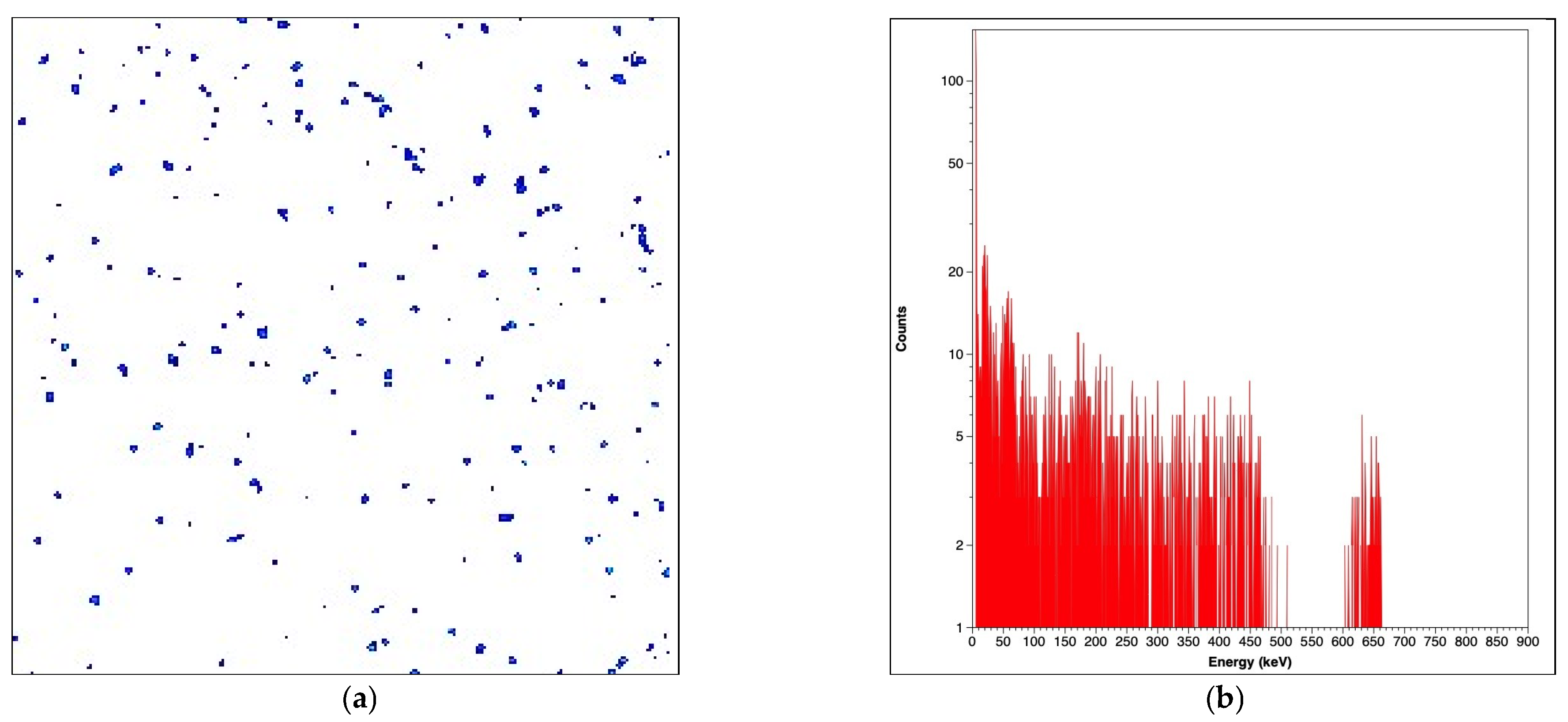 Catalysts 15 00526 g013