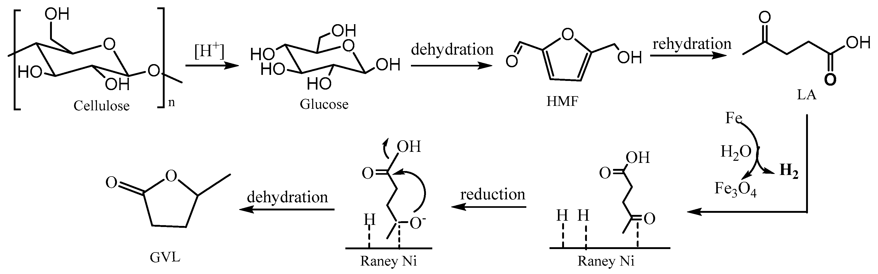 Catalysts 15 00530 g007