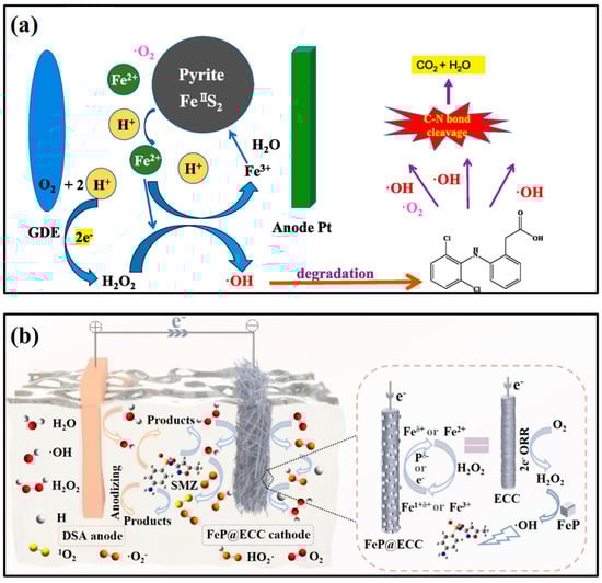 Catalysts 15 00549 g007