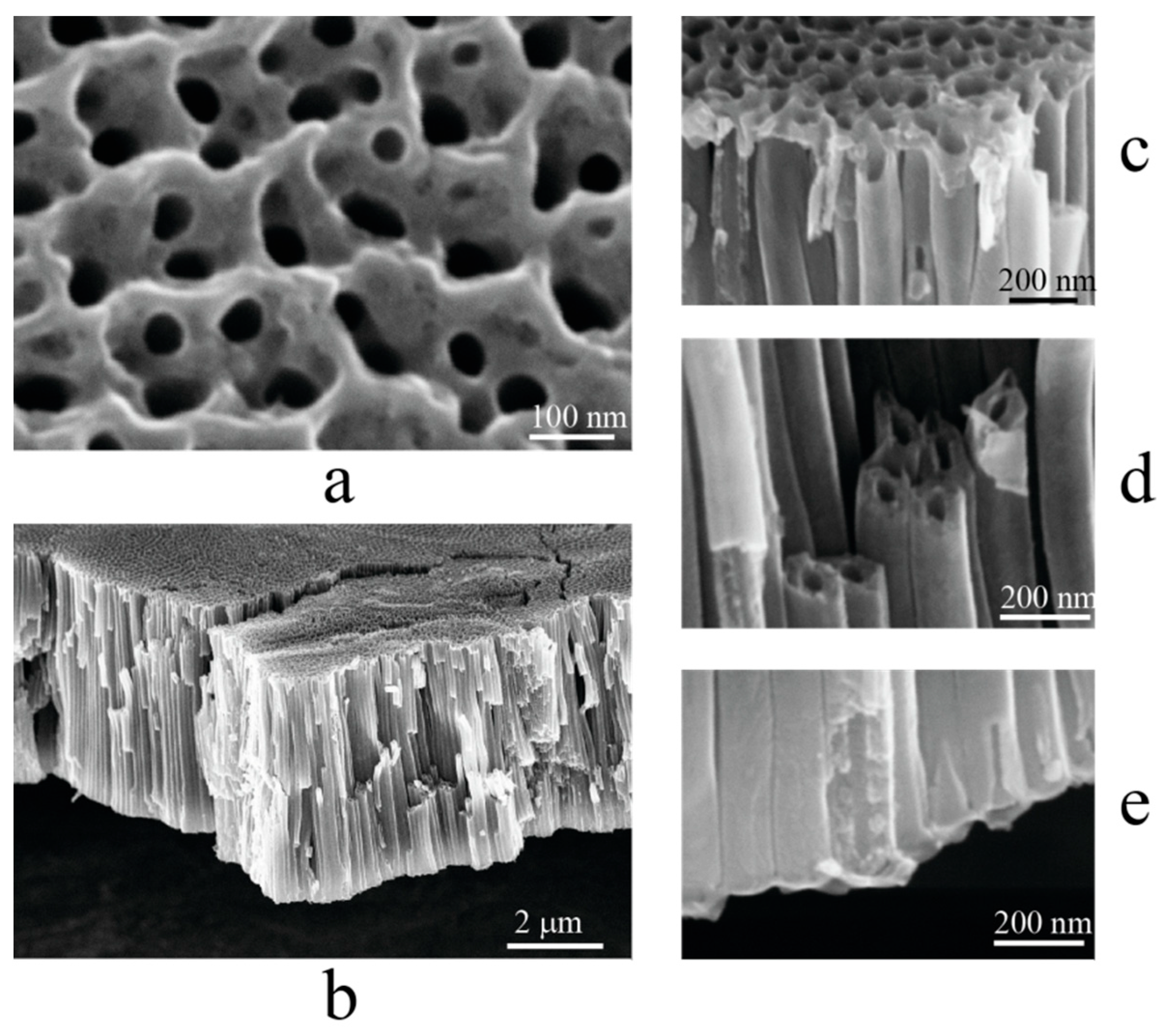 Catalysts 15 00572 g002