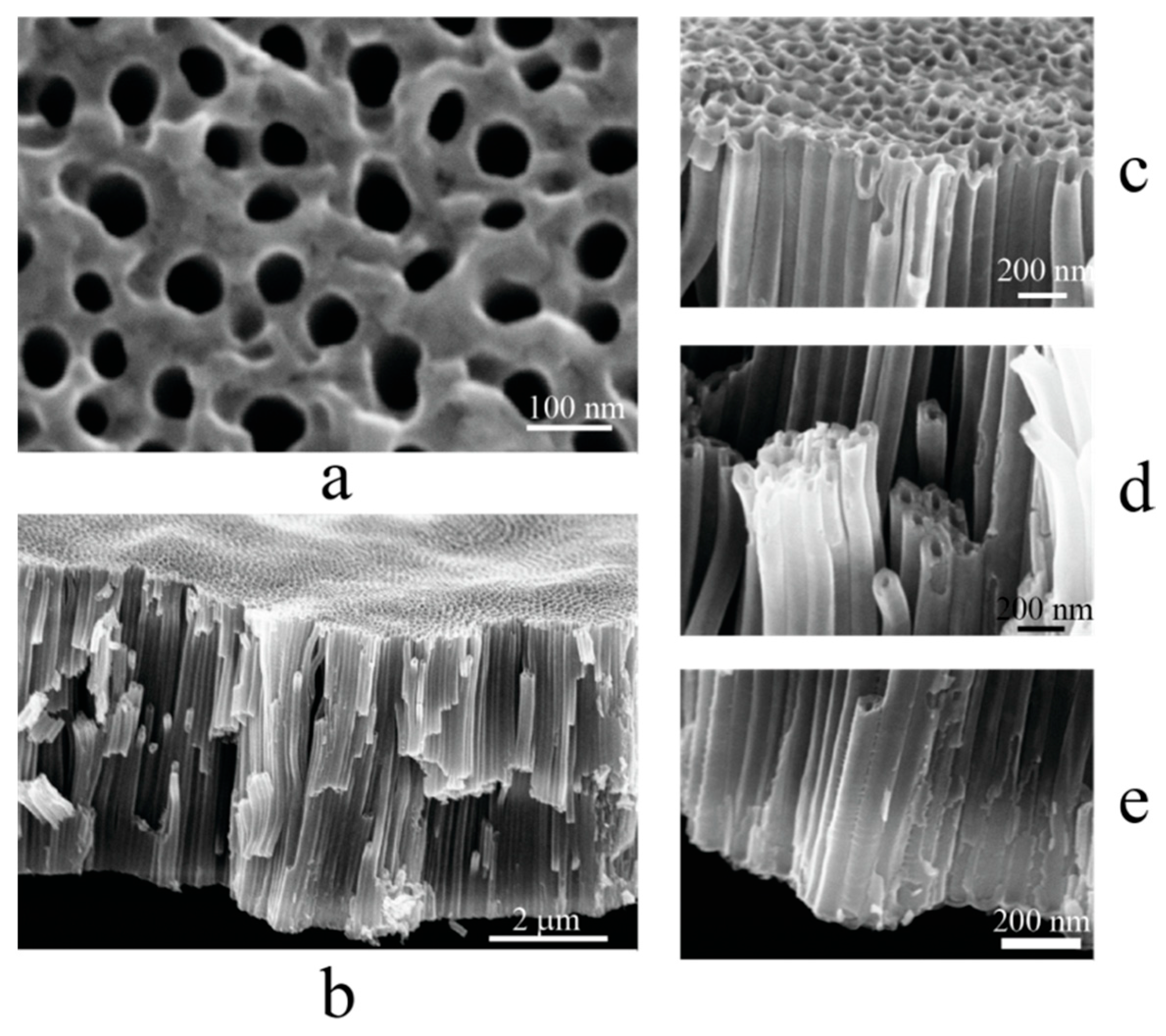 Catalysts 15 00572 g003
